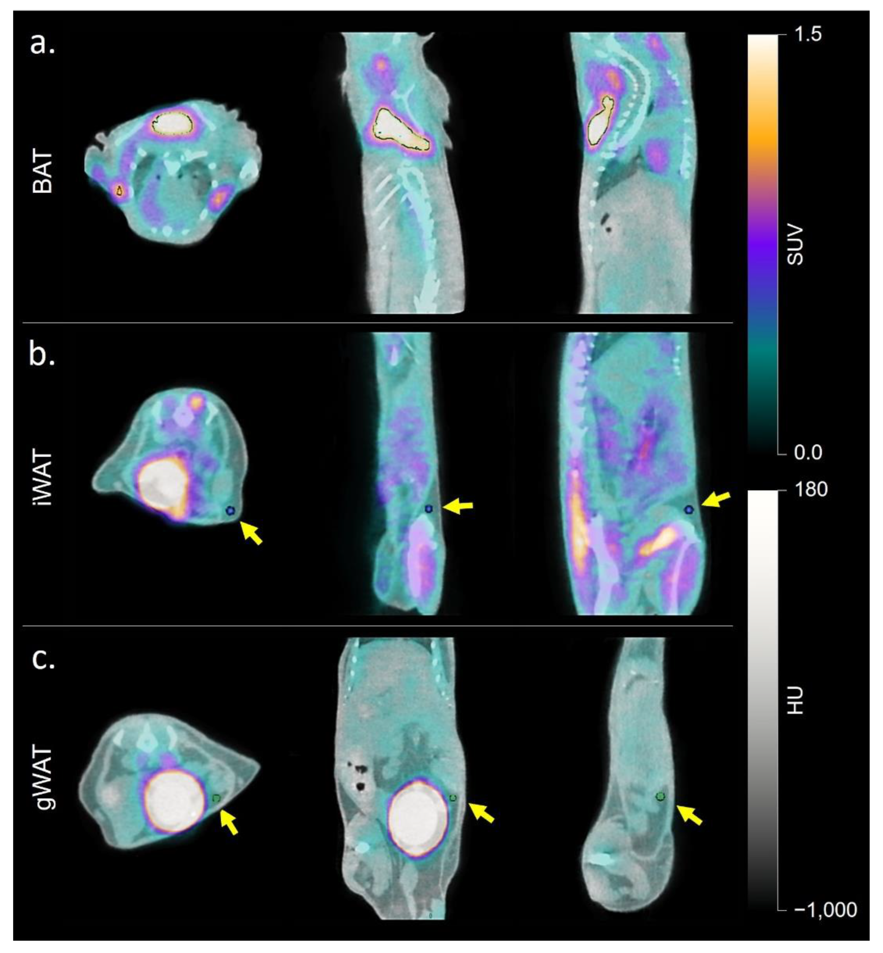 Ijms 23 04880 g007 550