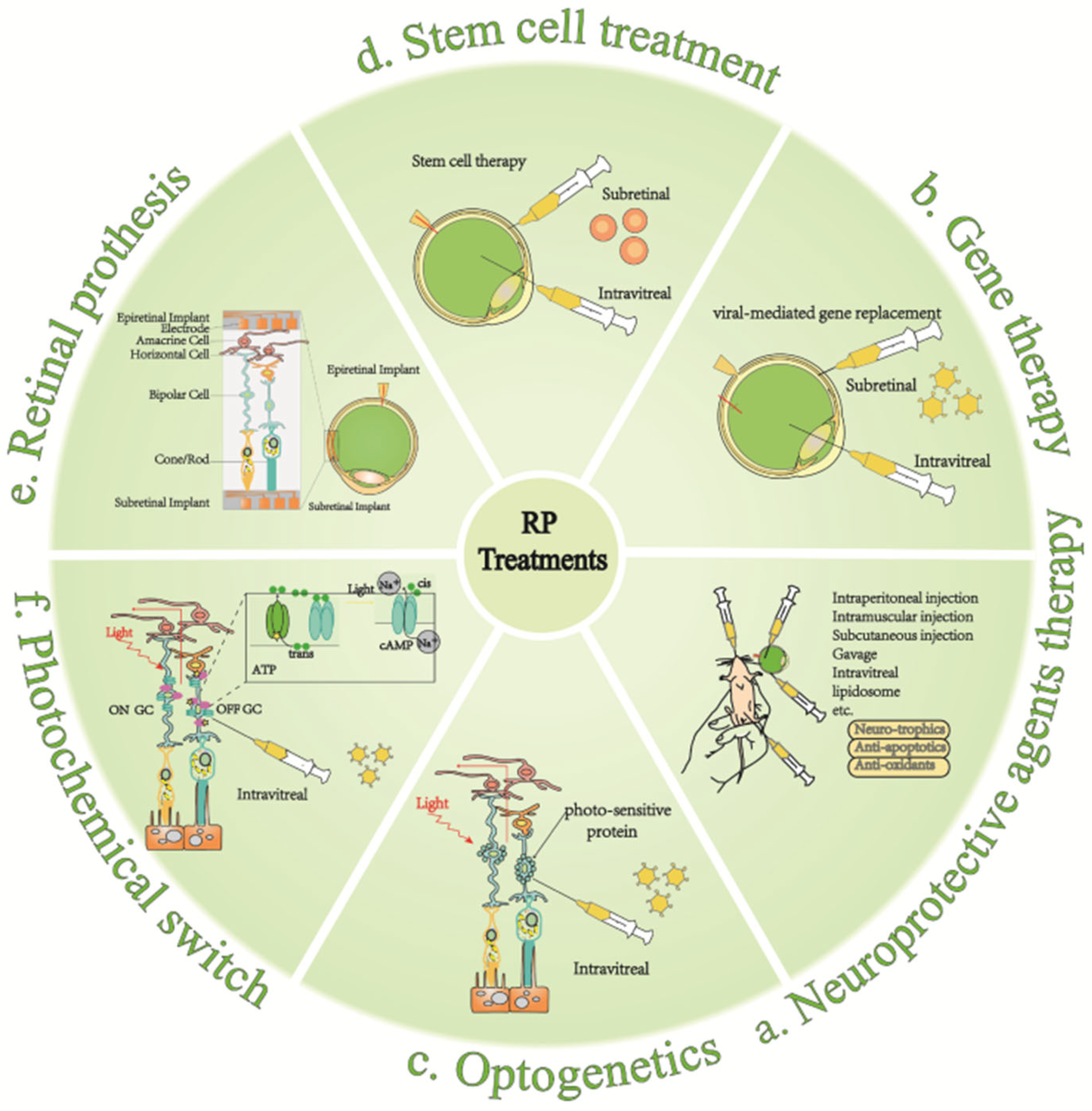 Ijms 23 04883 g005 Ijms 23 04883 g005