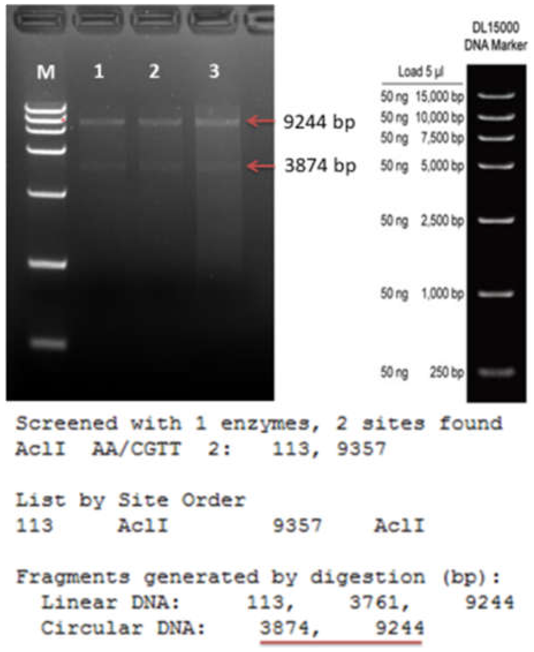 Ijms 23 04889 g003 550