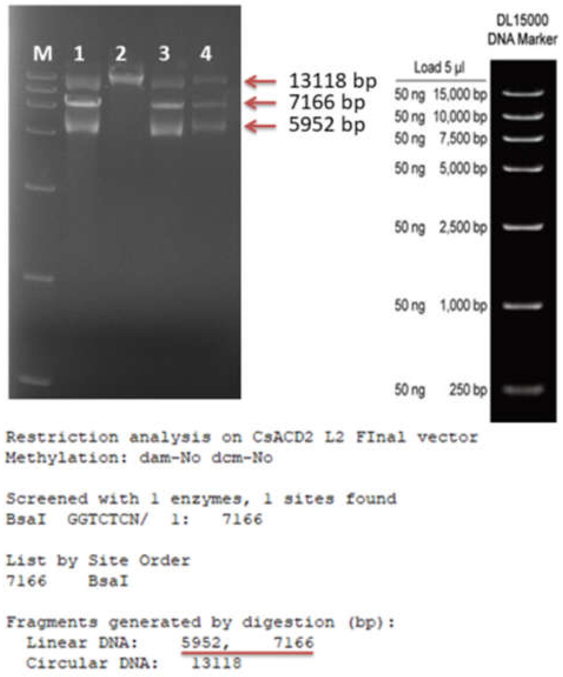 Ijms 23 04889 g004 550