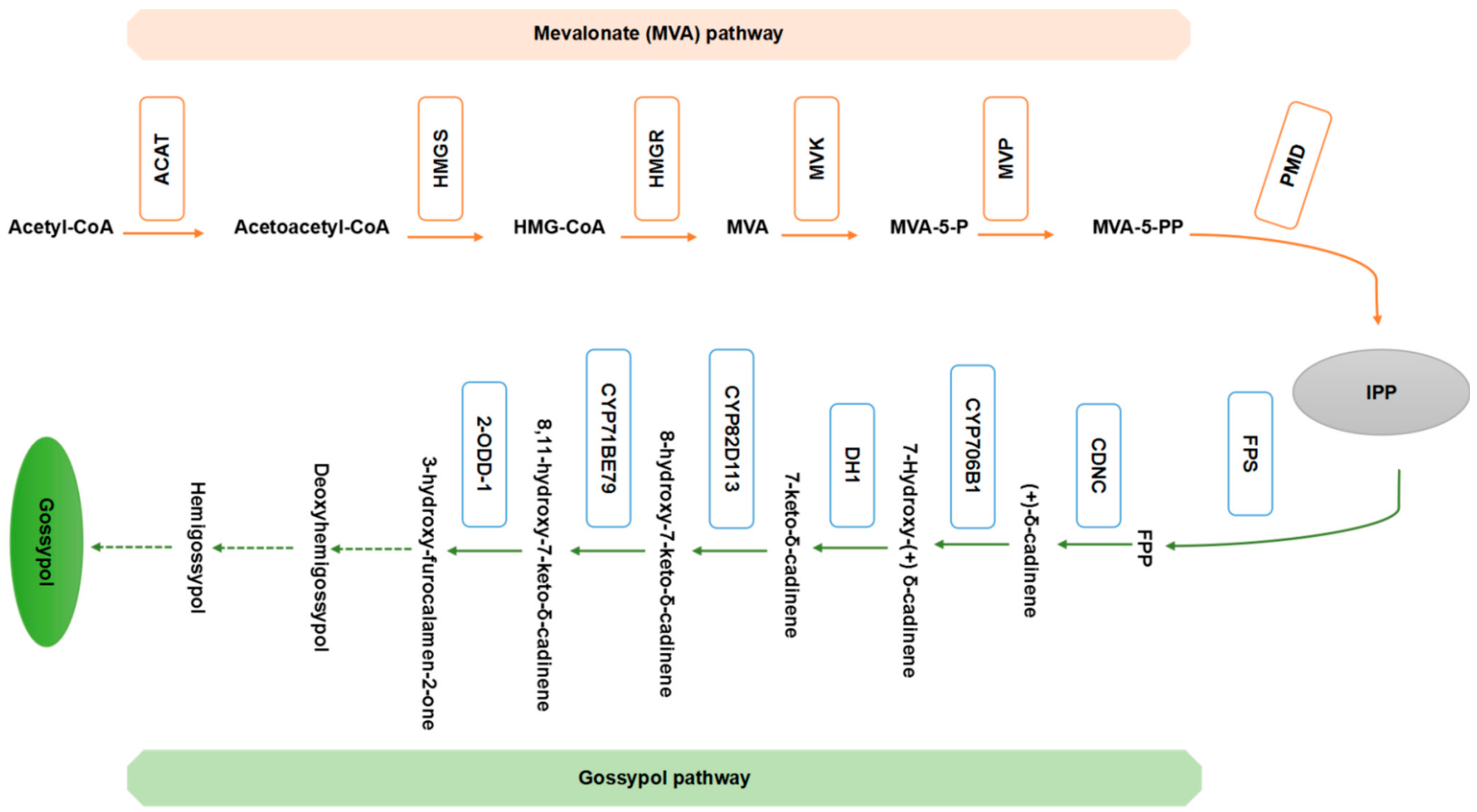 Ijms 23 04892 g002 Ijms 23 04892 g002