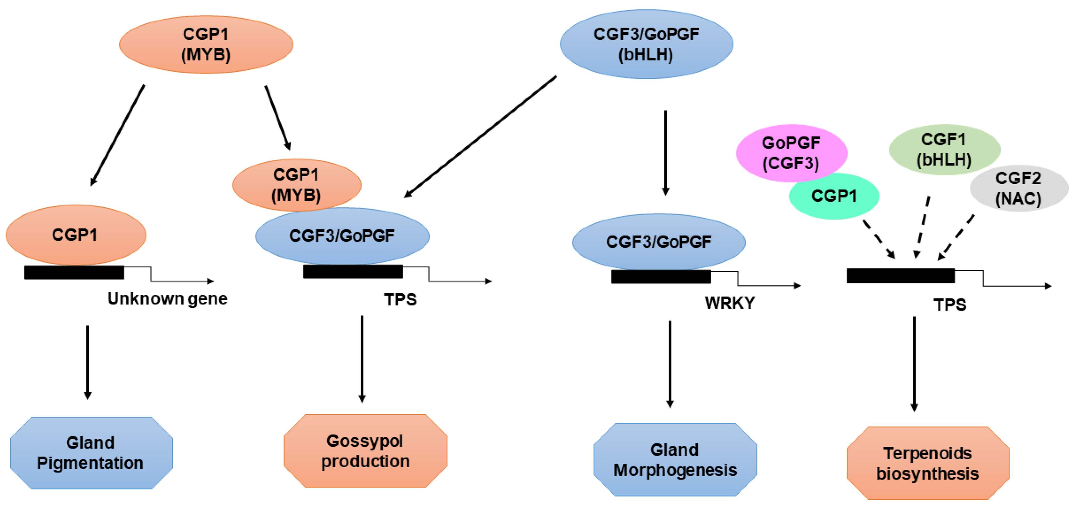 Ijms 23 04892 g003 Ijms 23 04892 g003