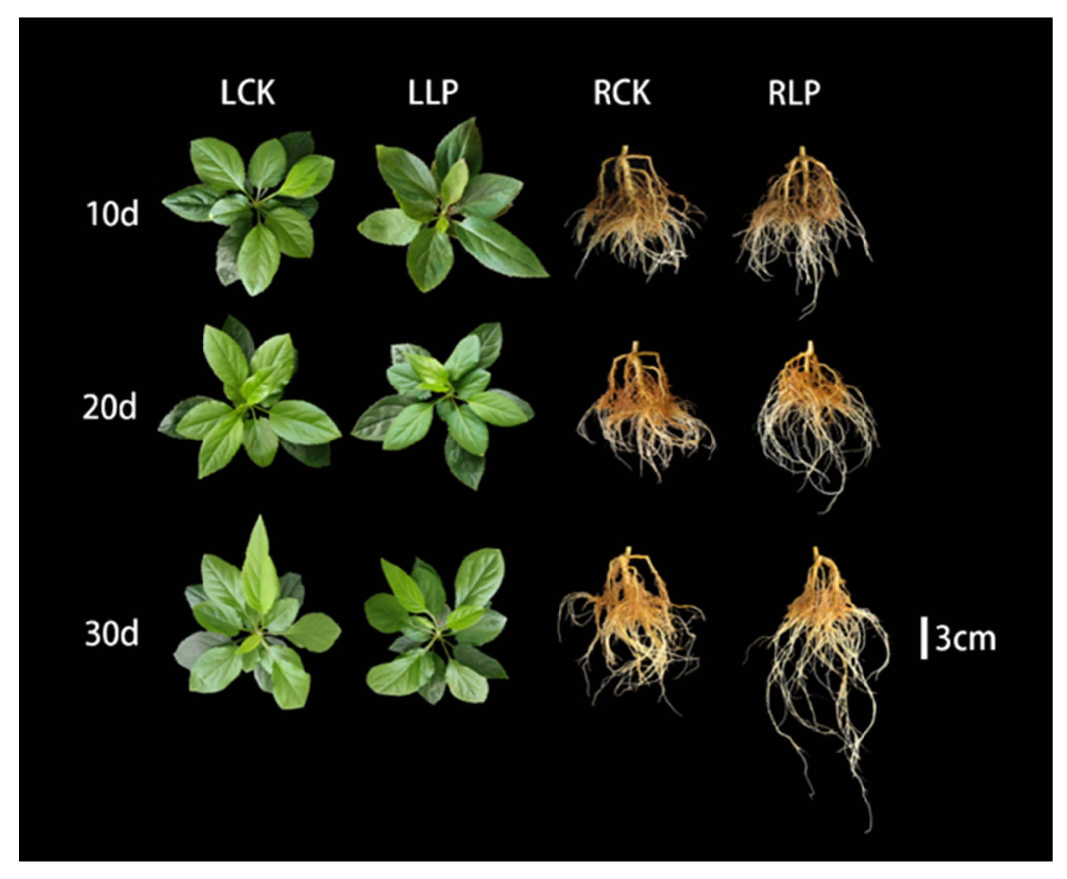 Ijms 23 04896 g001 550