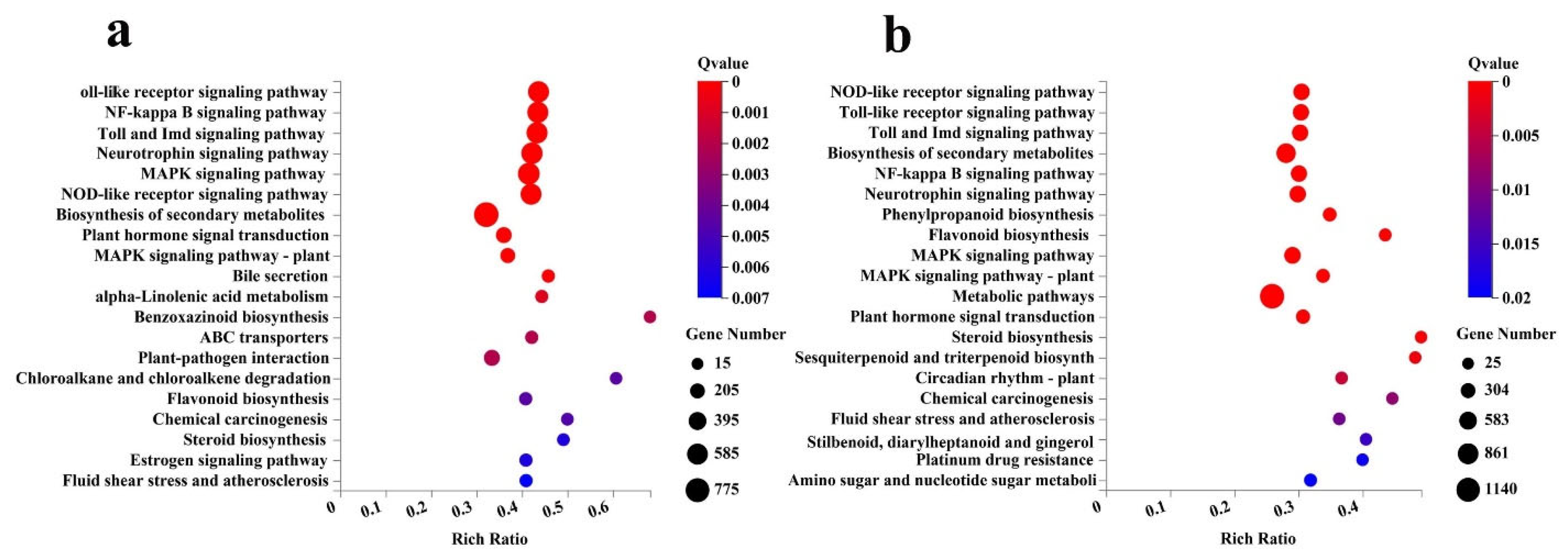 Ijms 23 04896 g006 550
