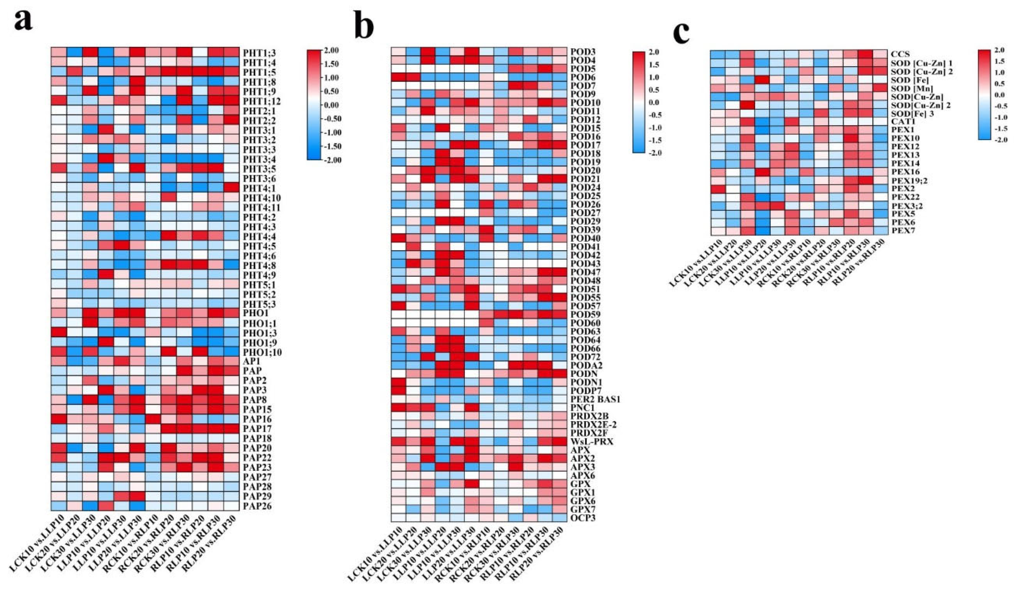 Ijms 23 04896 g008 550