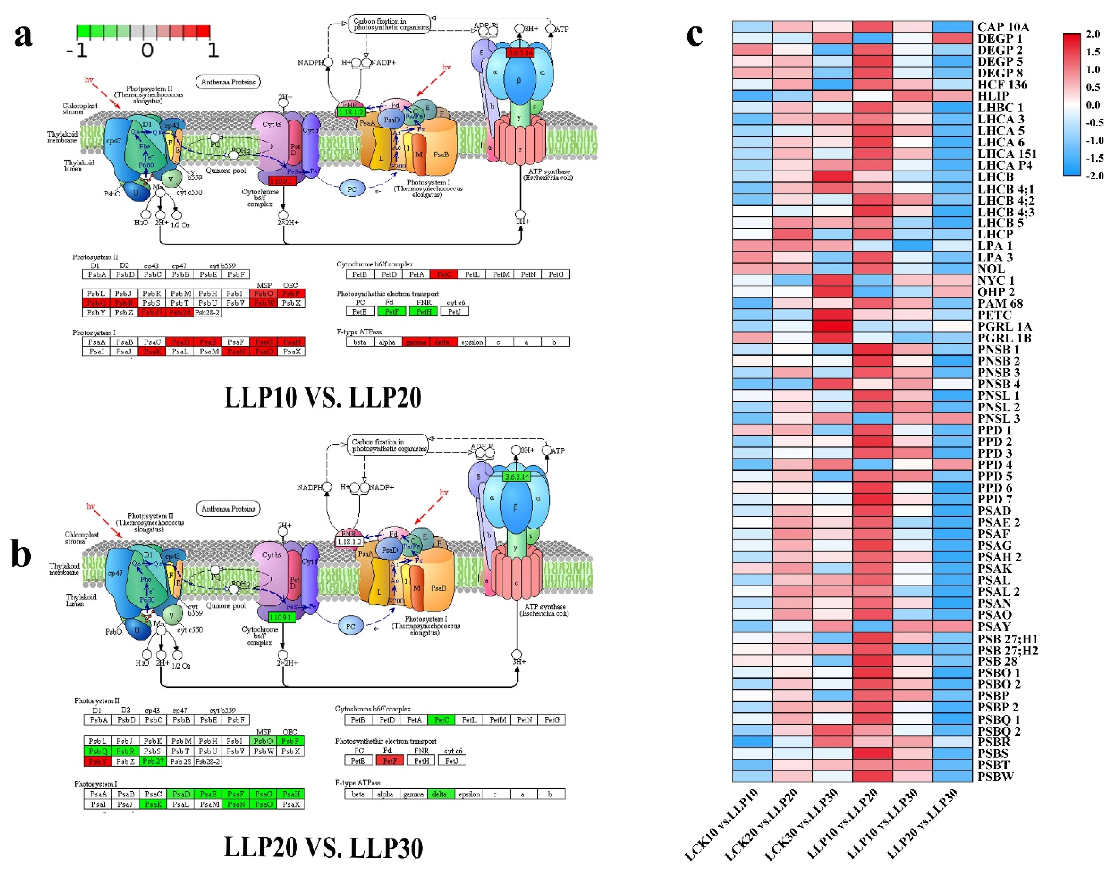 Ijms 23 04896 g010 550