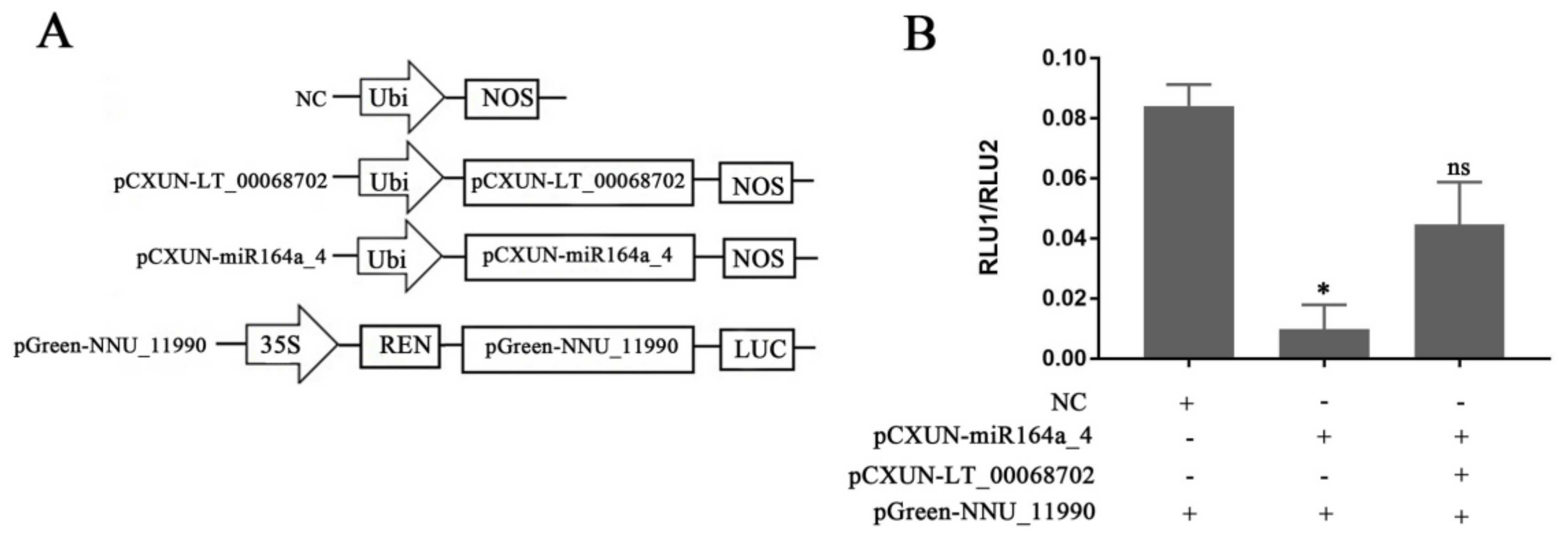 Ijms 23 04901 g008 550