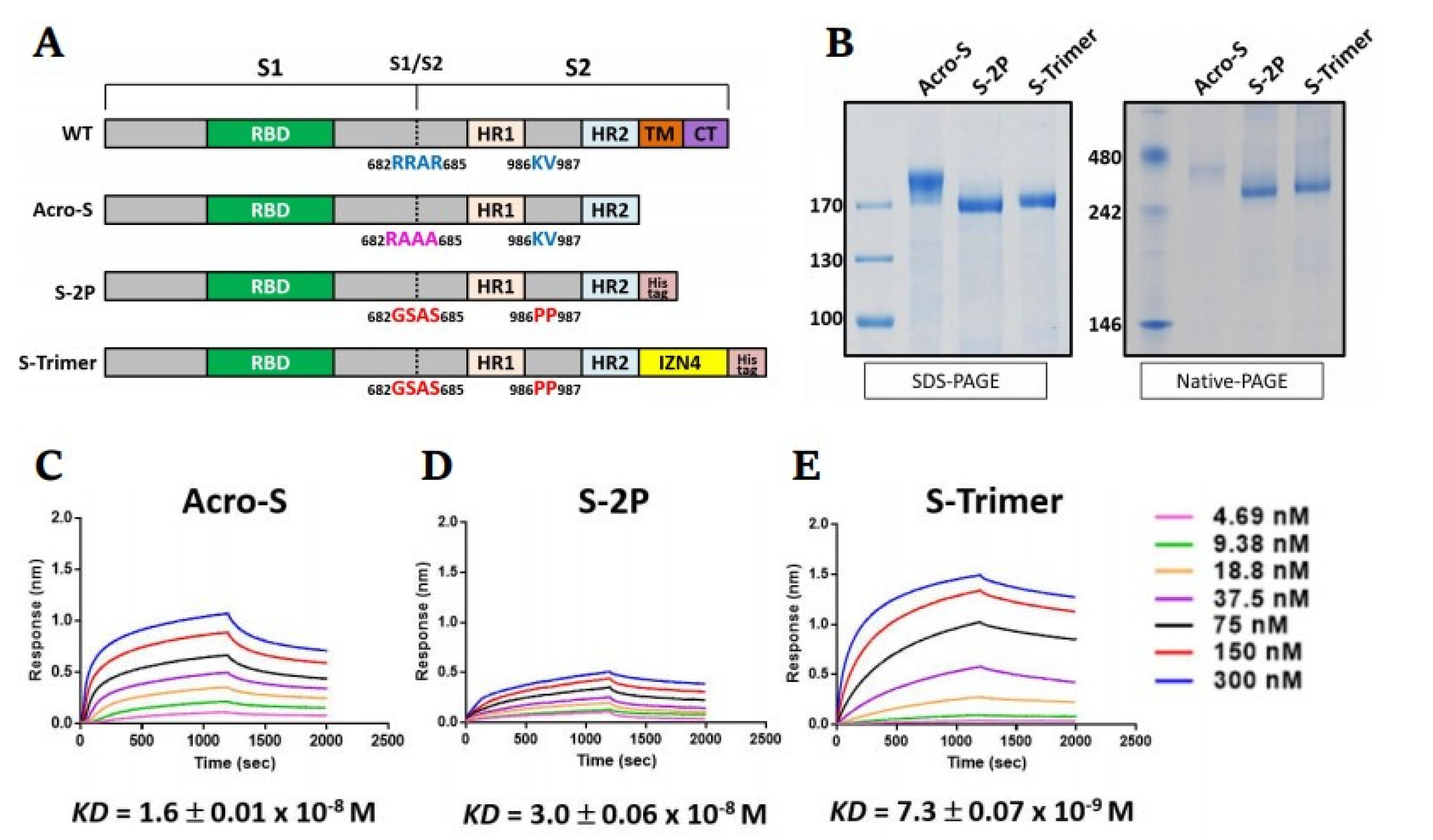 Ijms 23 04902 g001 550