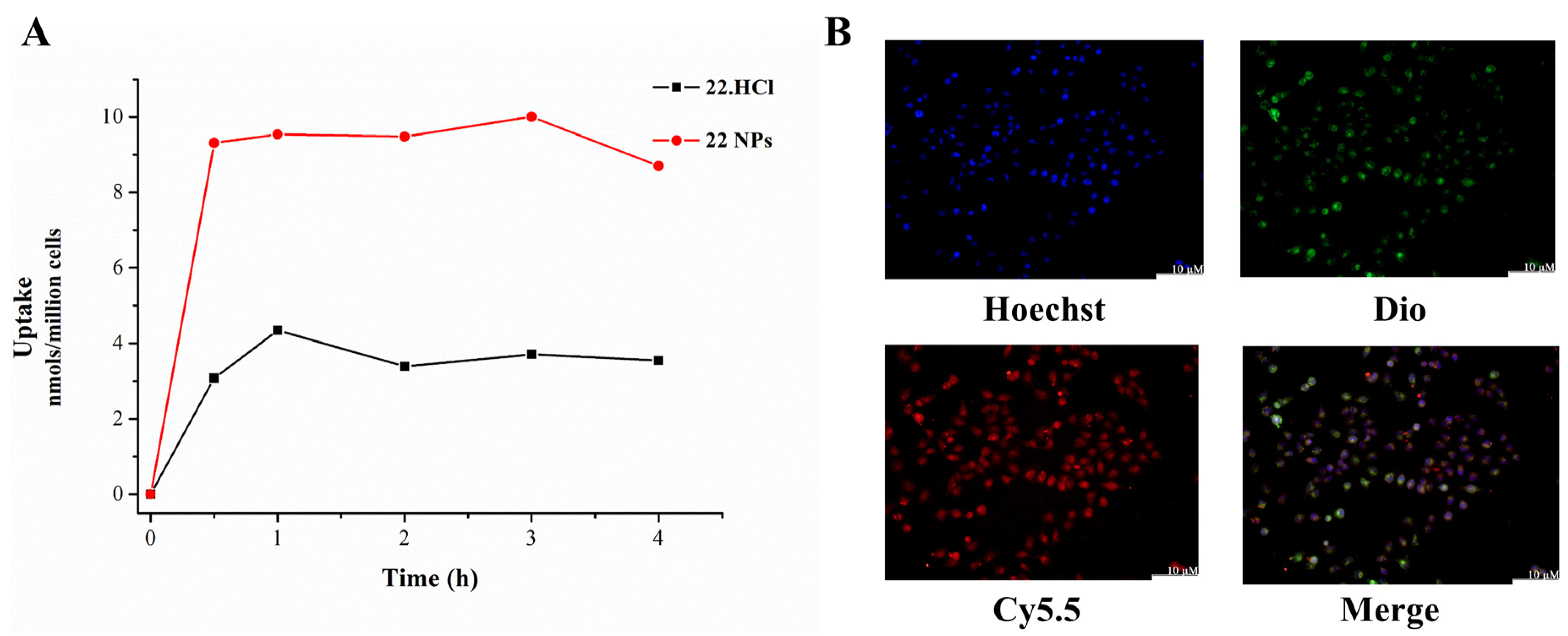 Ijms 23 04903 g006 550