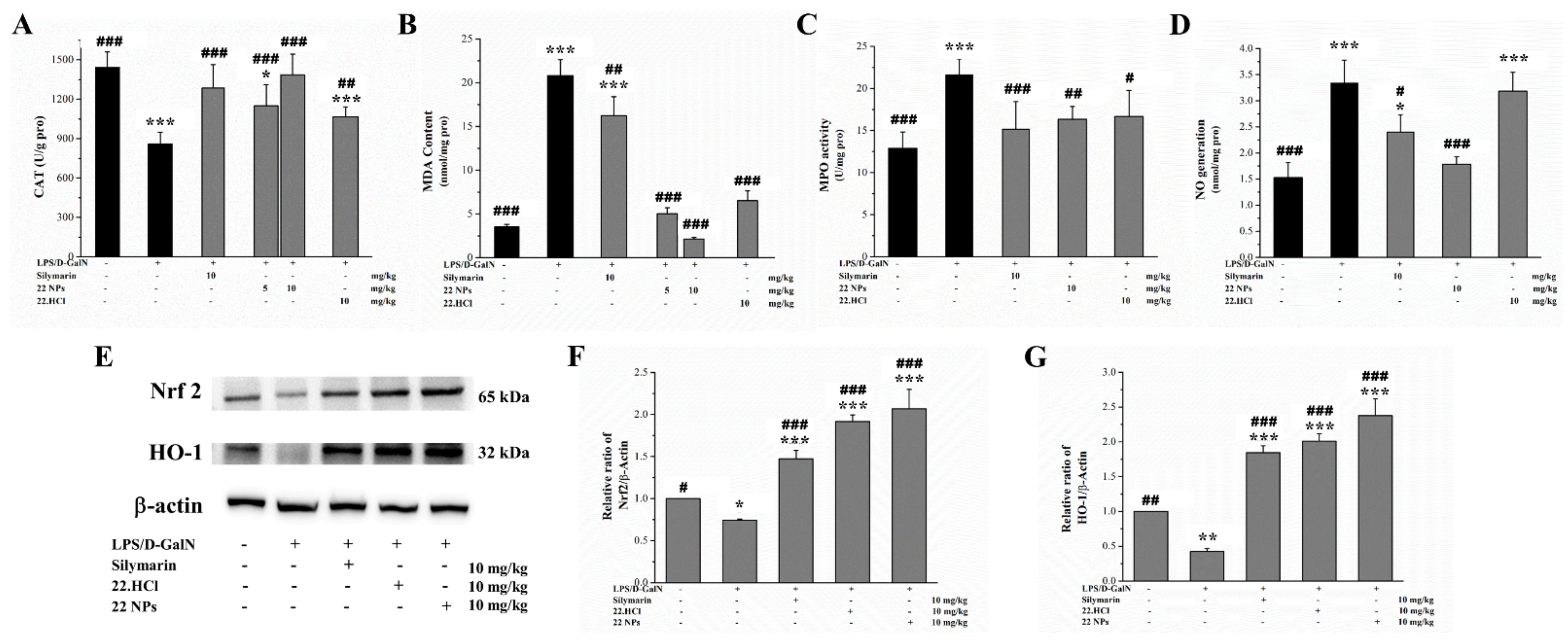 Ijms 23 04903 g010 550