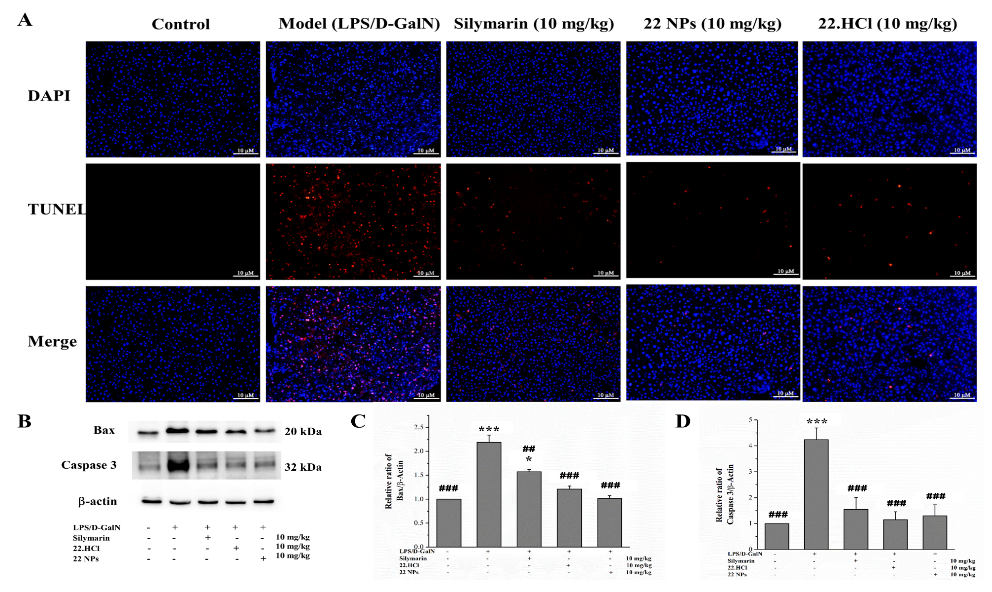 Ijms 23 04903 g011 550