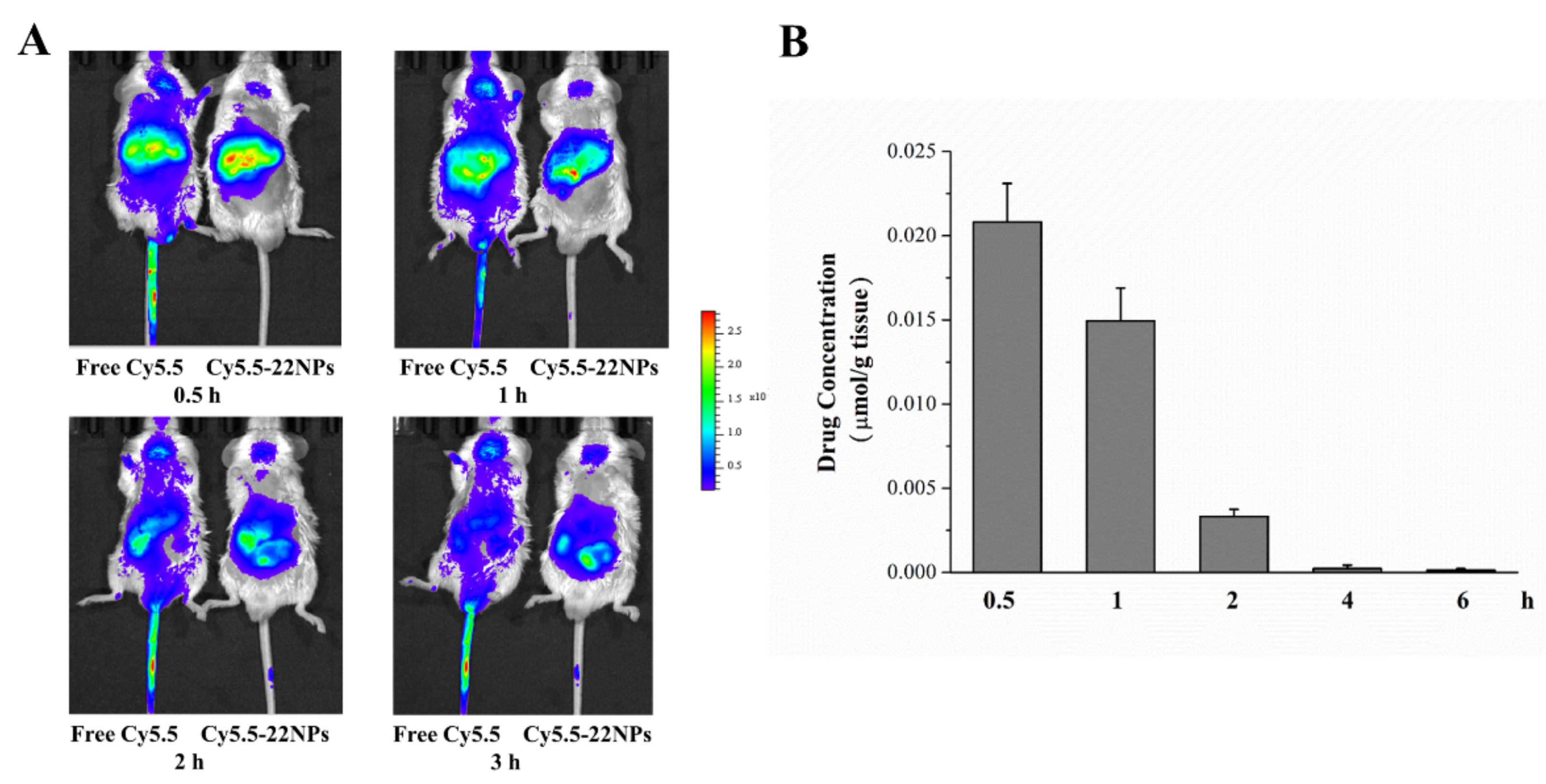 Ijms 23 04903 g012 550