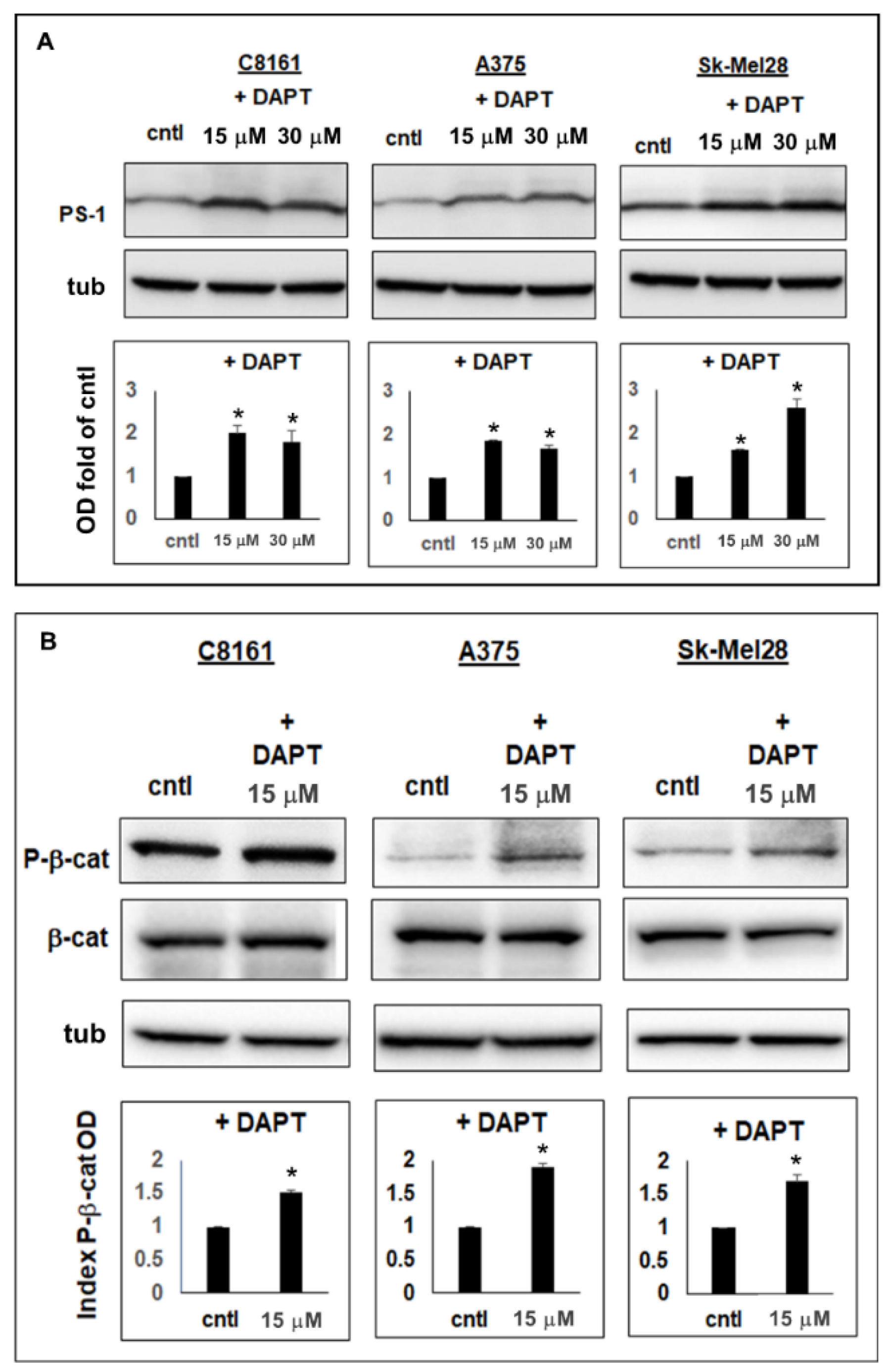 Ijms 23 04904 g003 550
