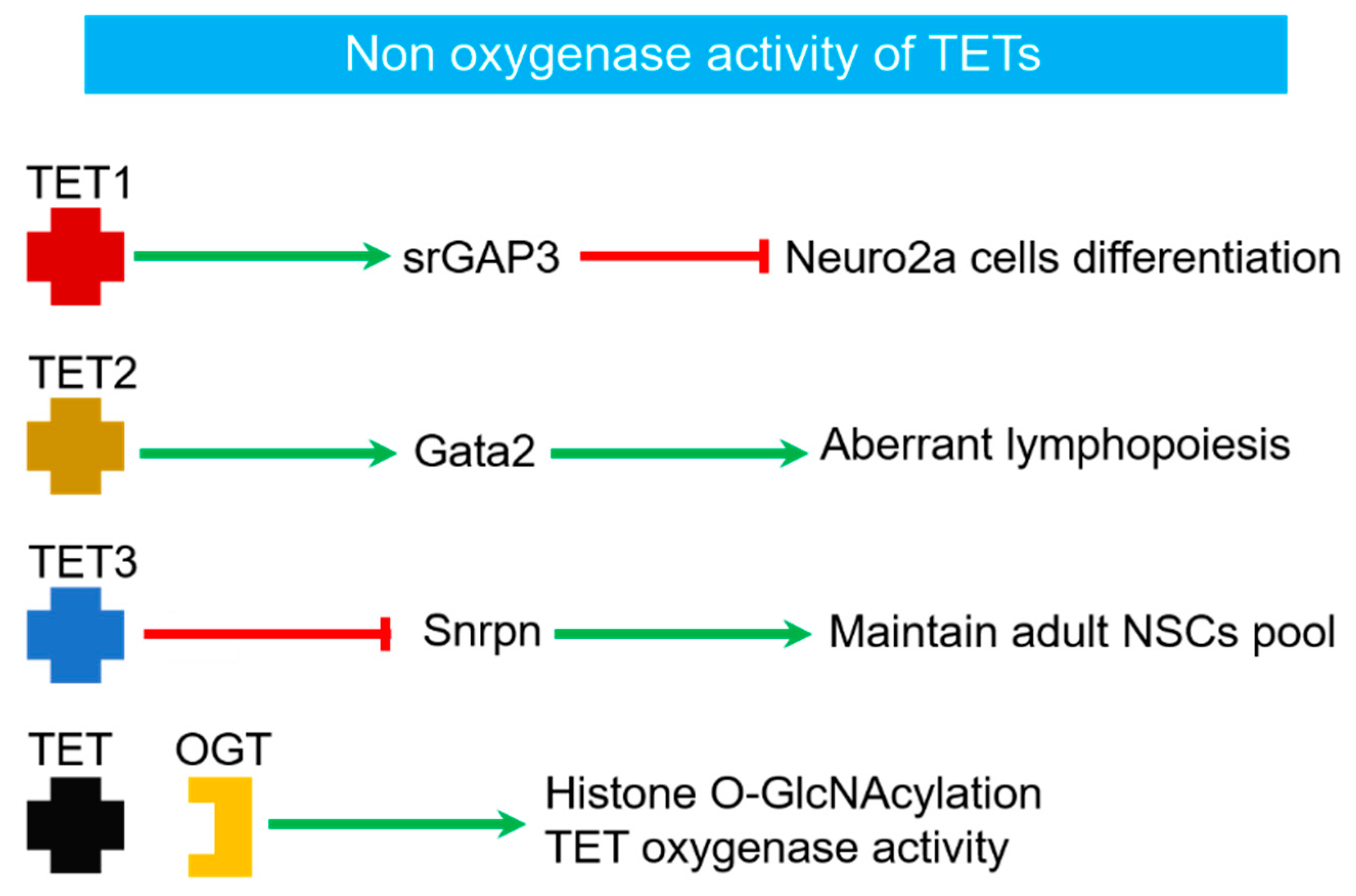 Ijms 23 04909 g002 550