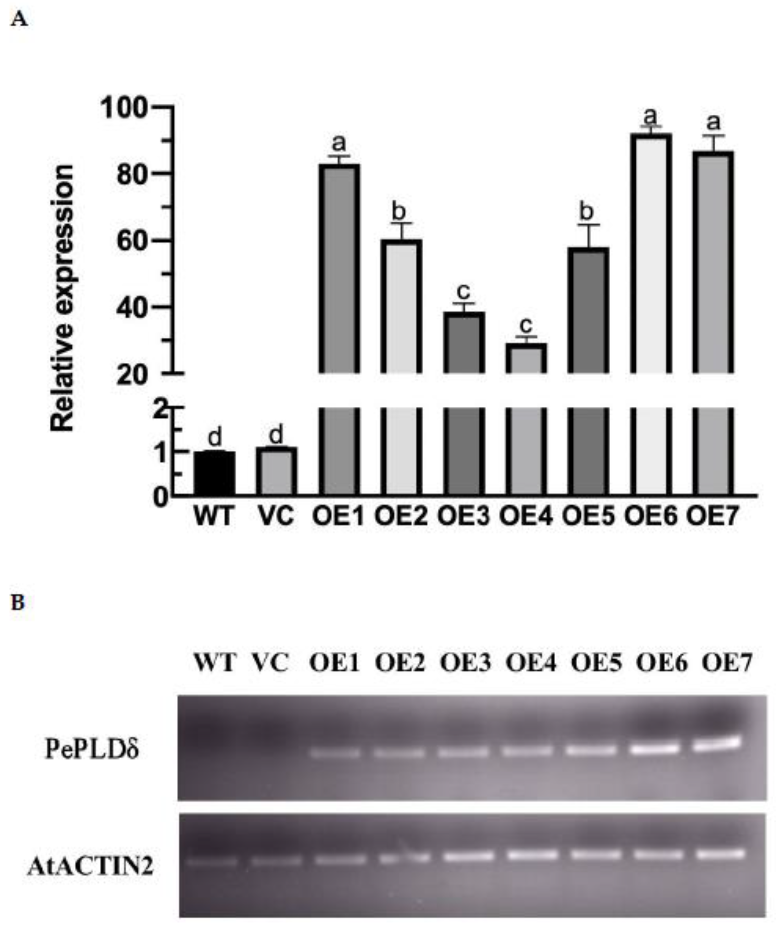 Ijms 23 04911 g002 550