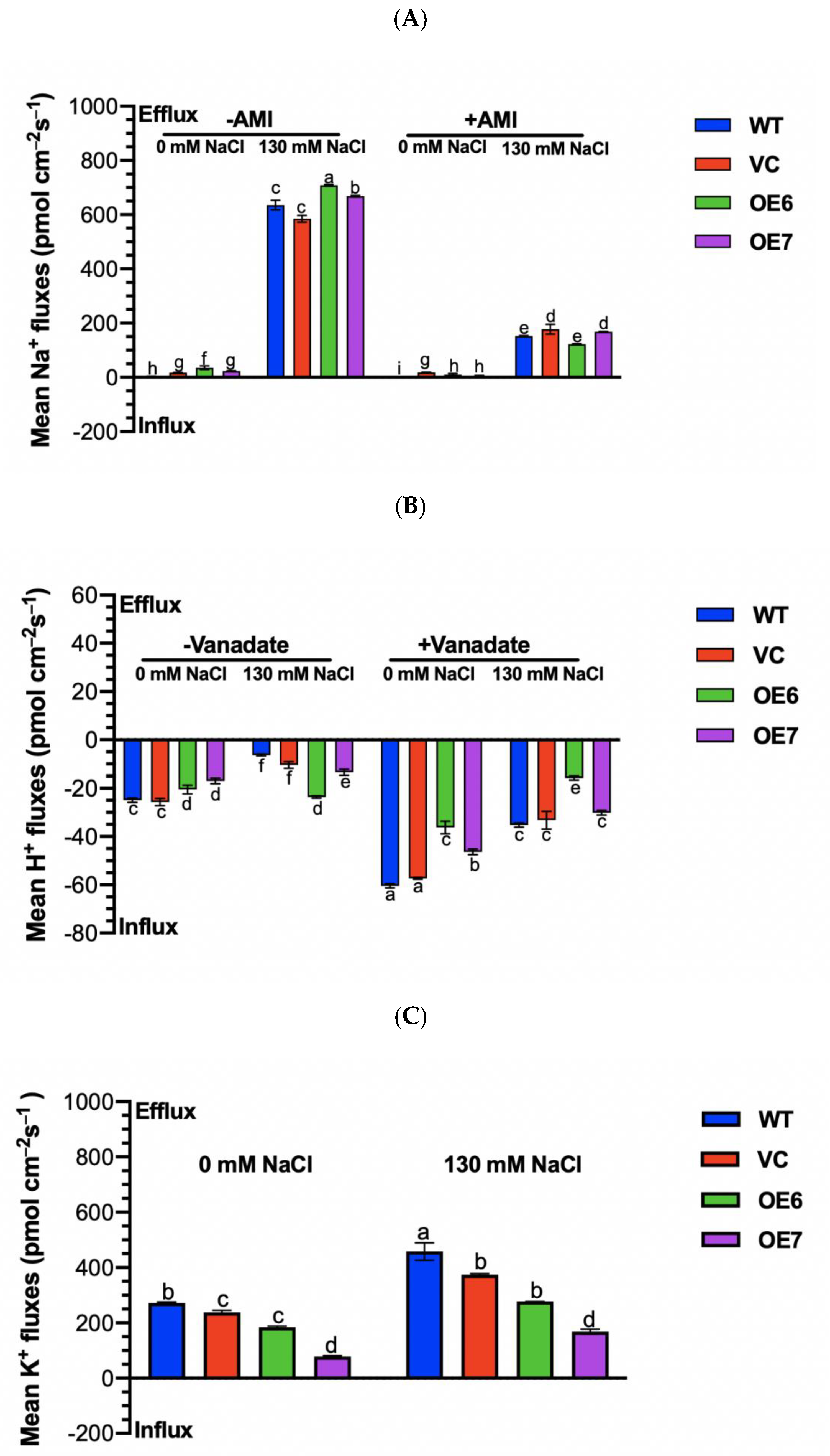 Ijms 23 04911 g008 550
