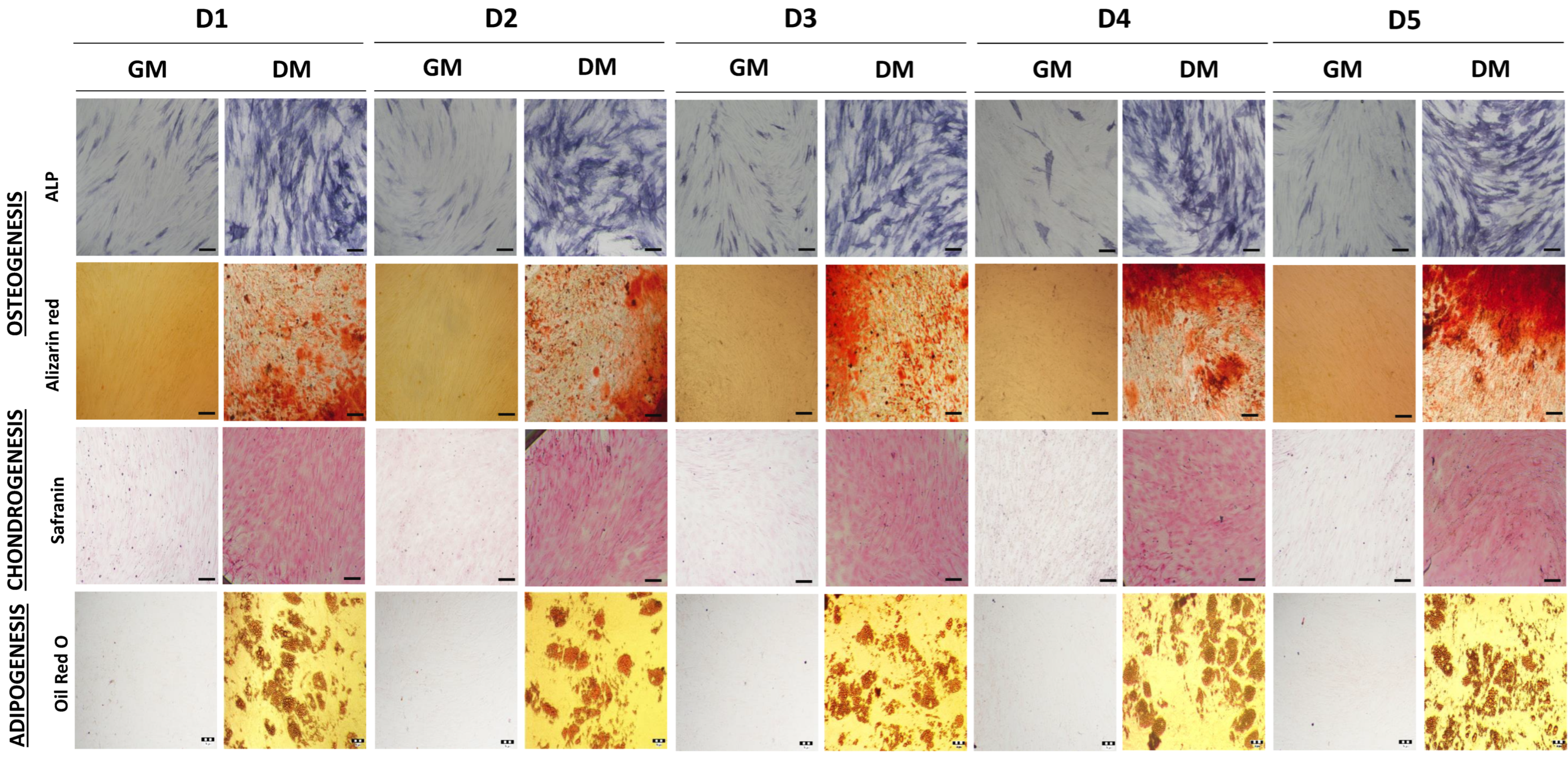 Ijms 23 04915 g002 Ijms 23 04915 g002