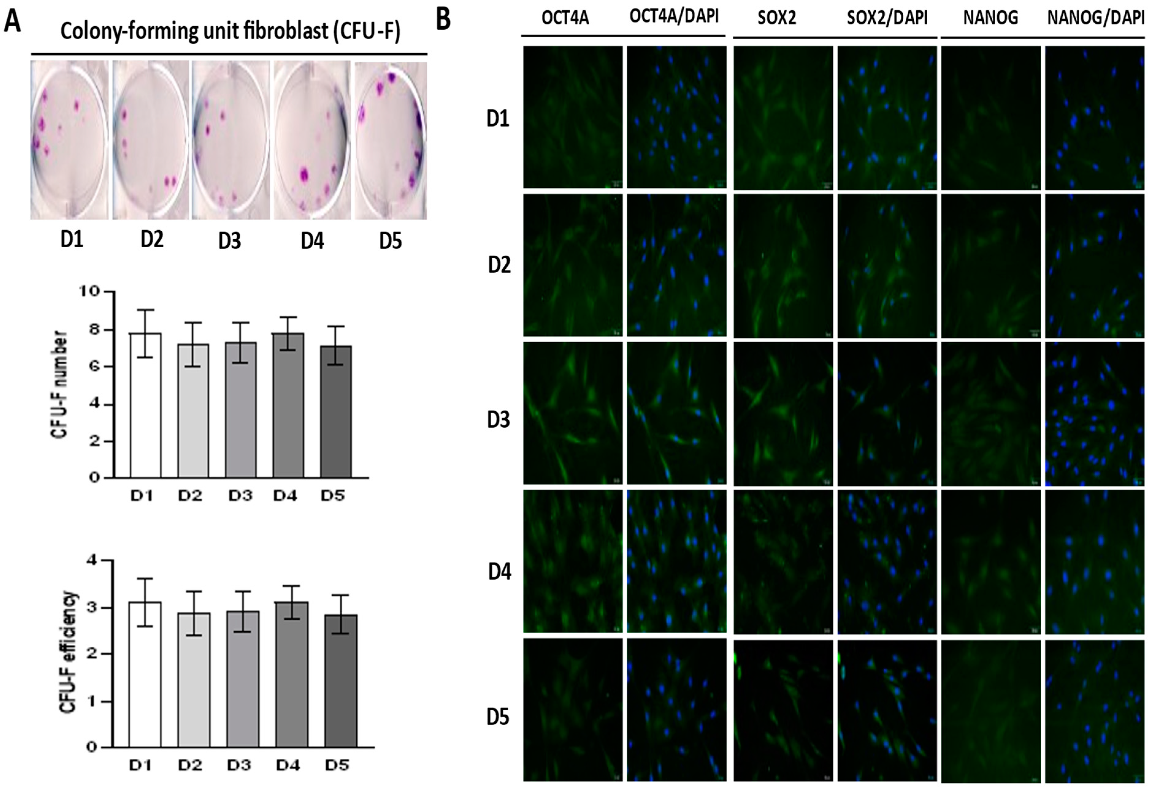 Ijms 23 04915 g003 Ijms 23 04915 g003