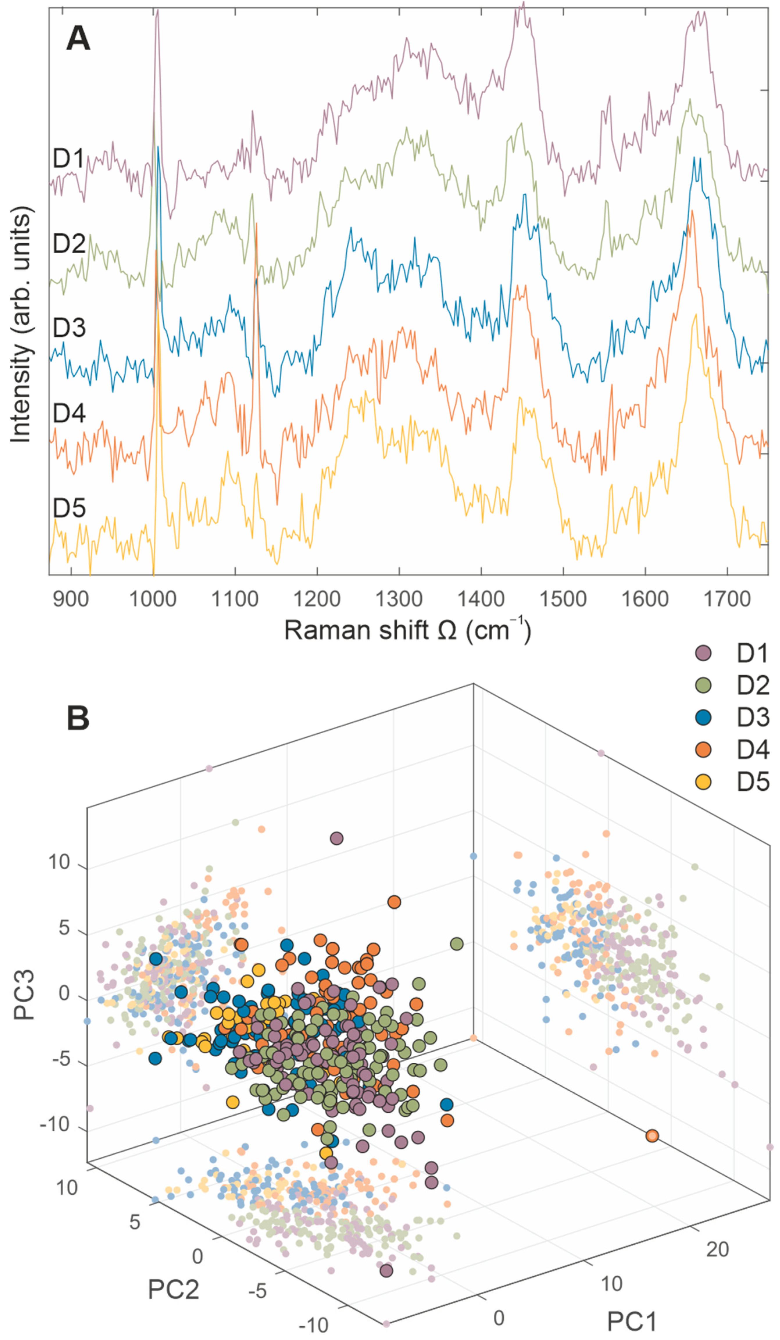 Ijms 23 04915 g005 Ijms 23 04915 g005