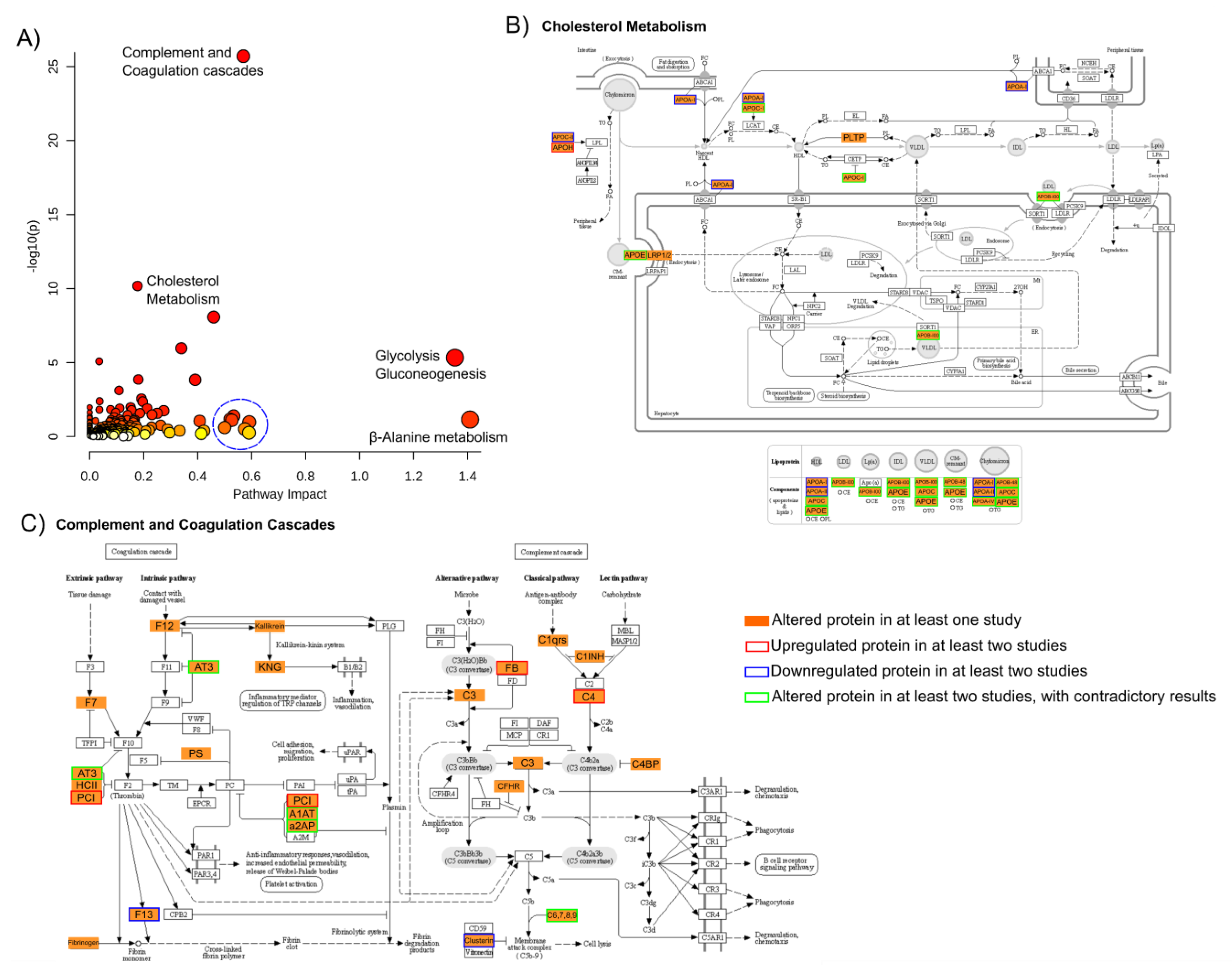 Ijms 23 04917 g006 Ijms 23 04917 g006