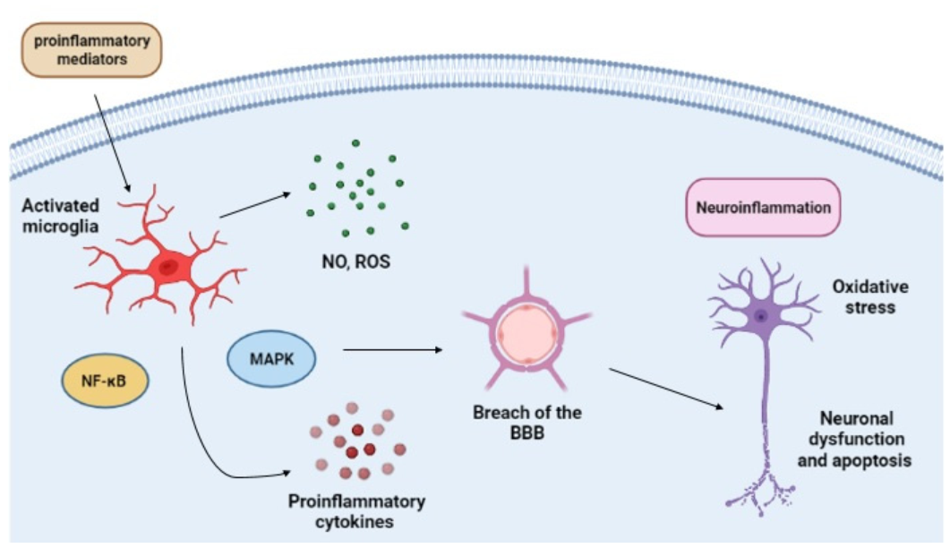 Ijms 23 04925 g001 550