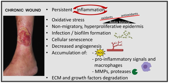 Why Different Parts of the Body Heal at Different Rates