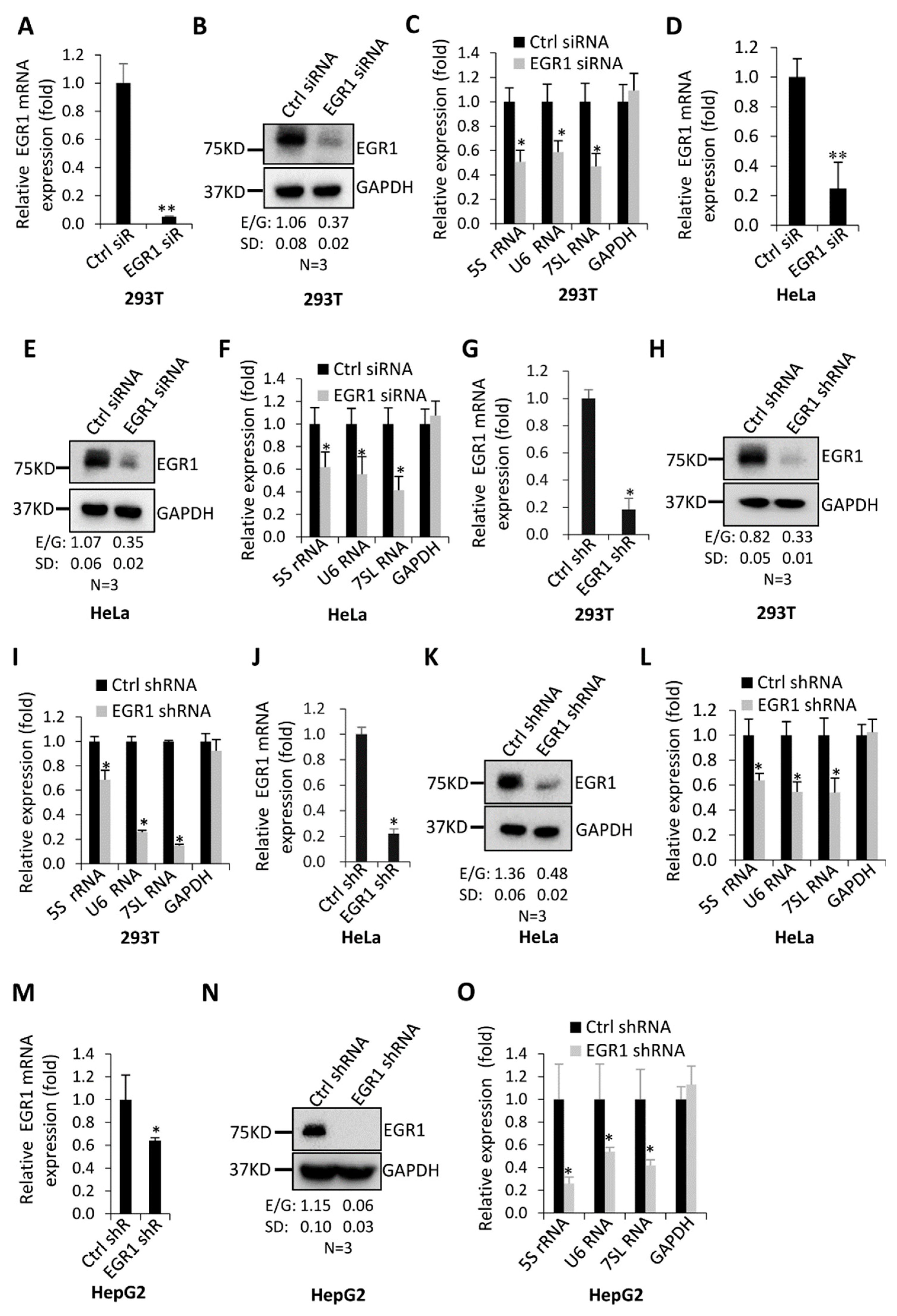 Ijms 23 04930 g001 550