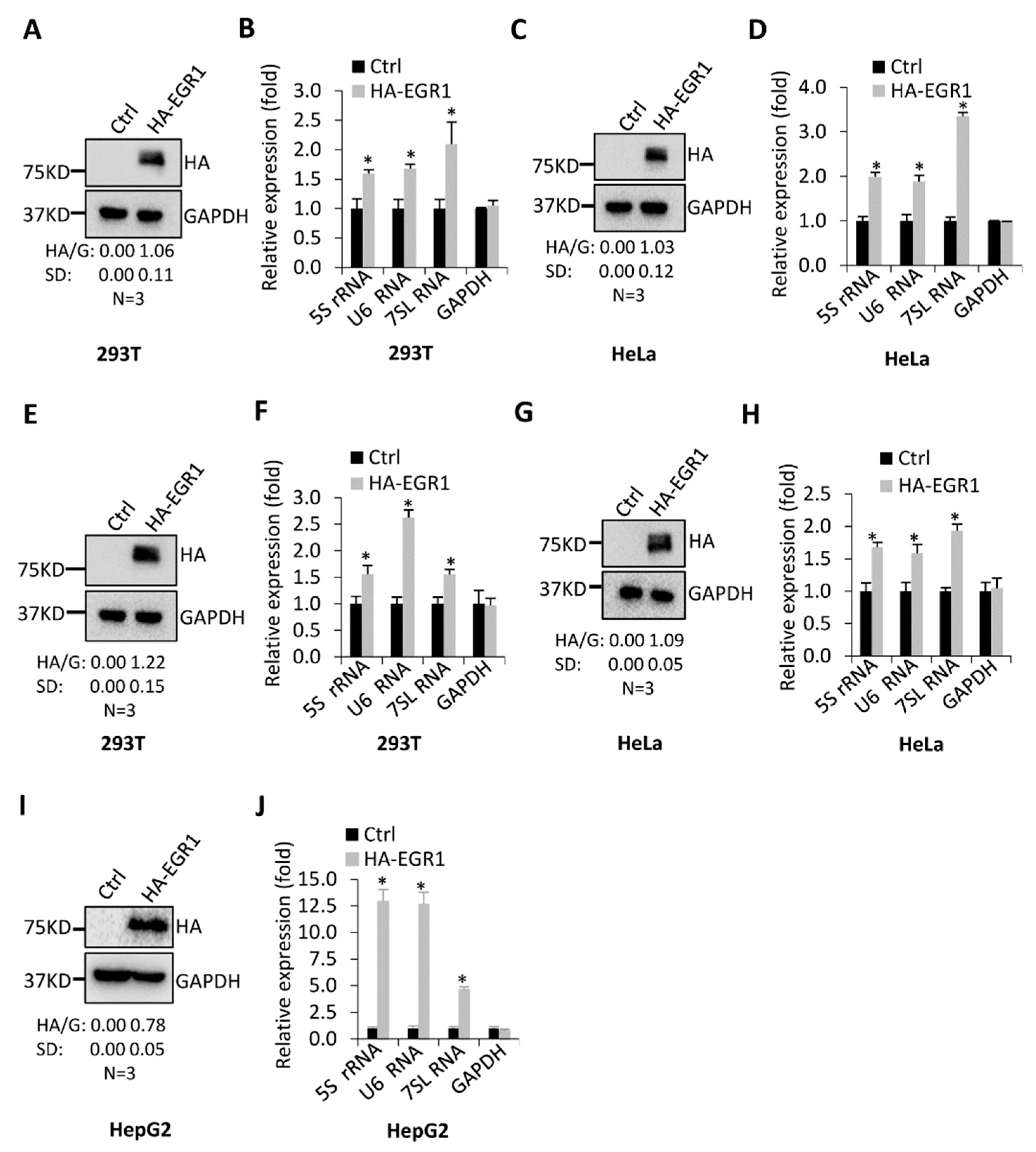 Ijms 23 04930 g002 550