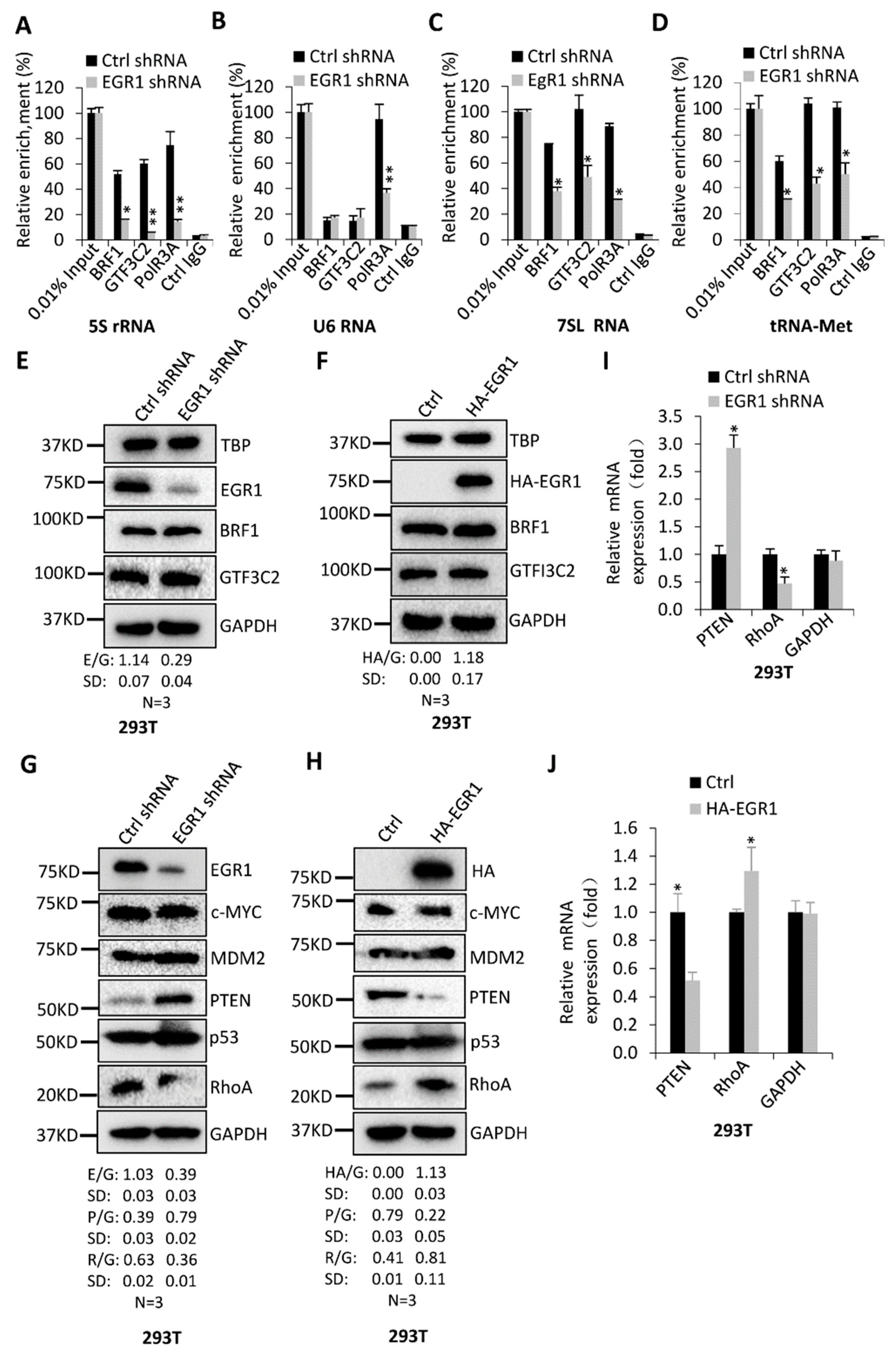 Ijms 23 04930 g005 550