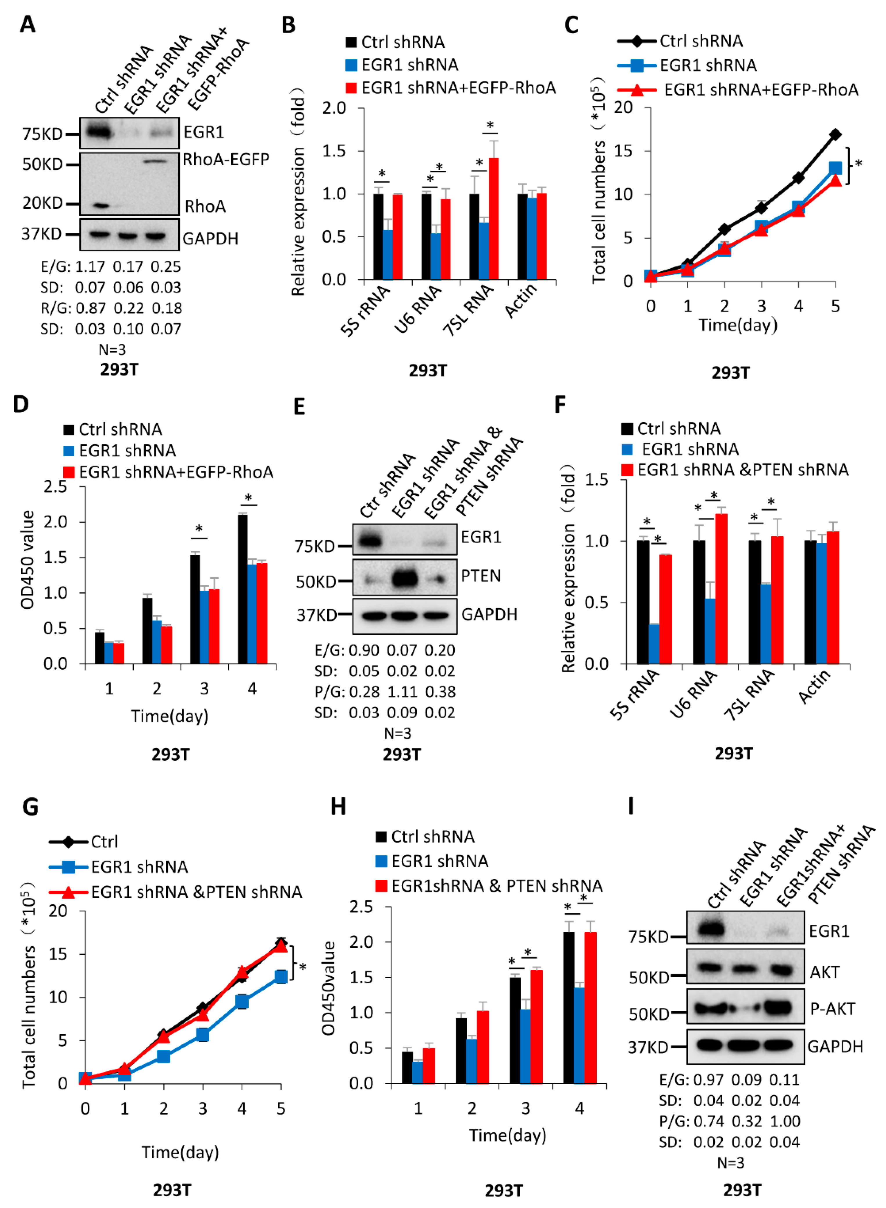 Ijms 23 04930 g006 550