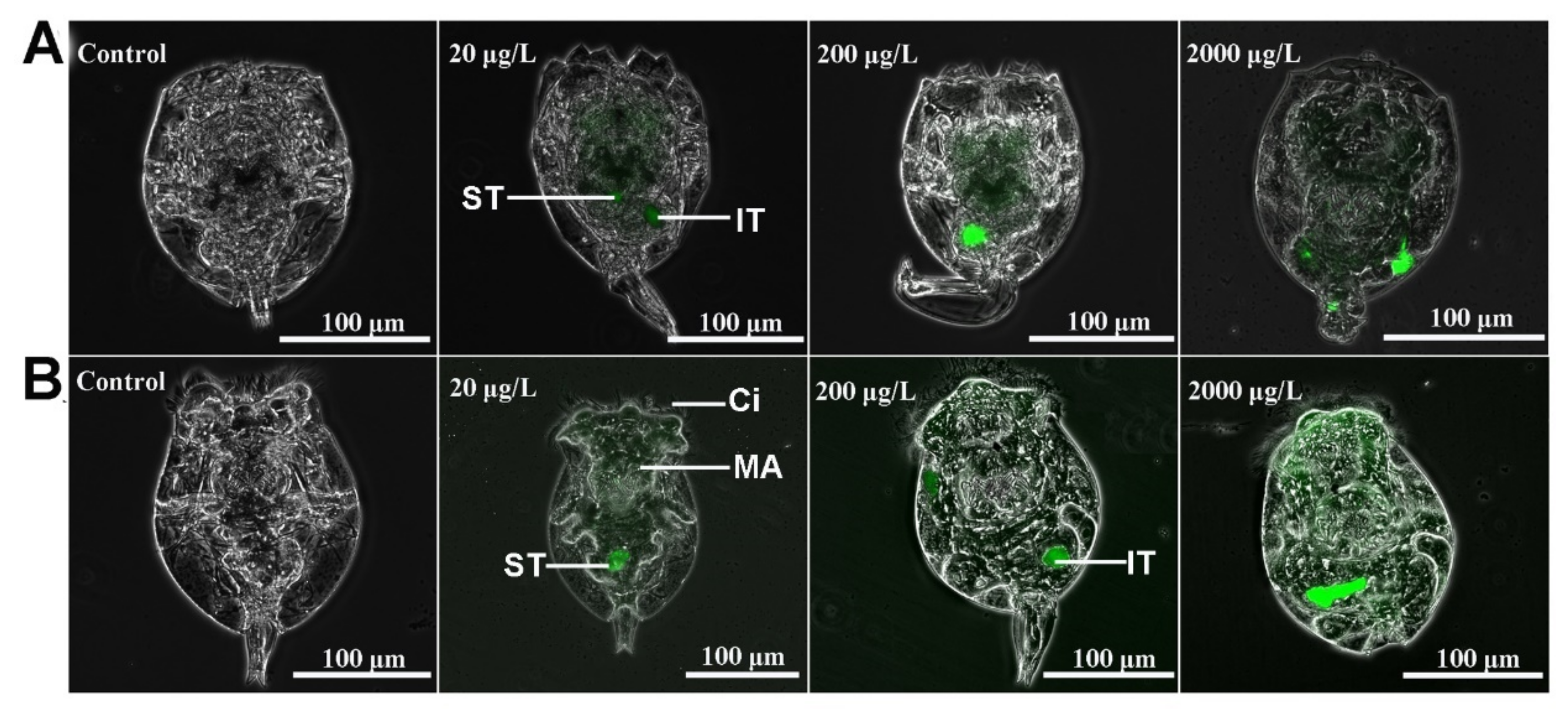 Ijms 23 04934 g001 550