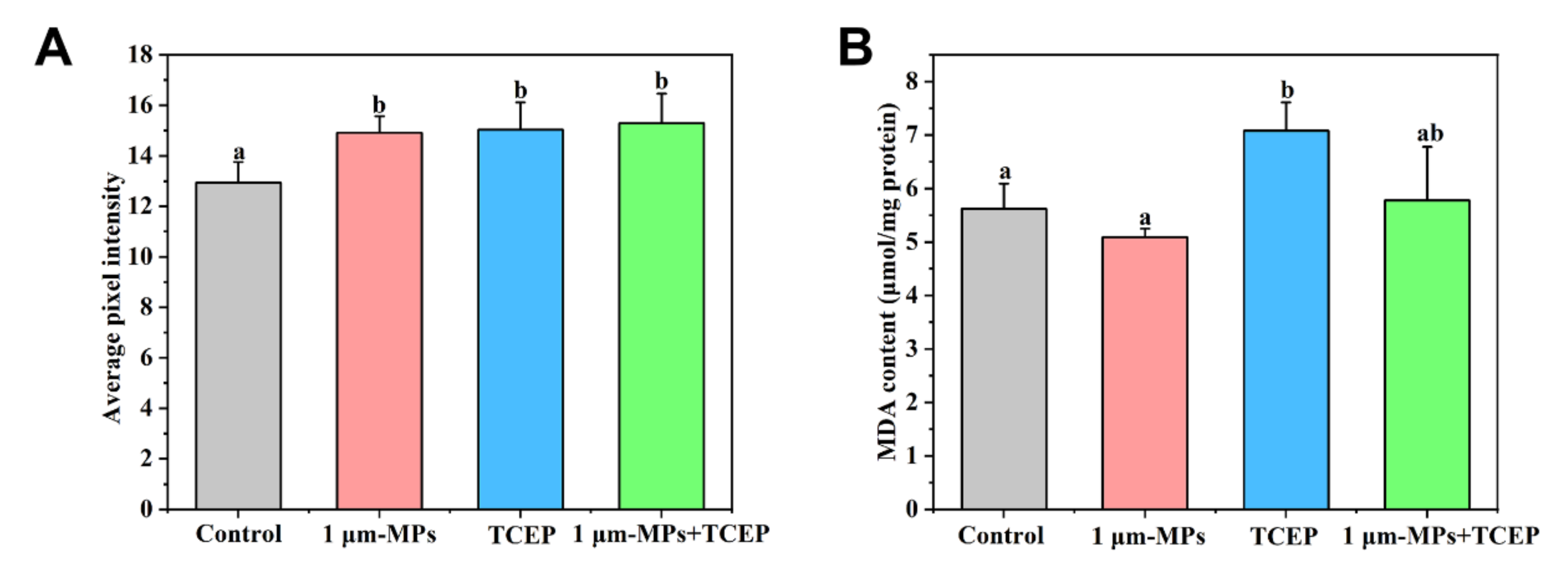 Ijms 23 04934 g005 550