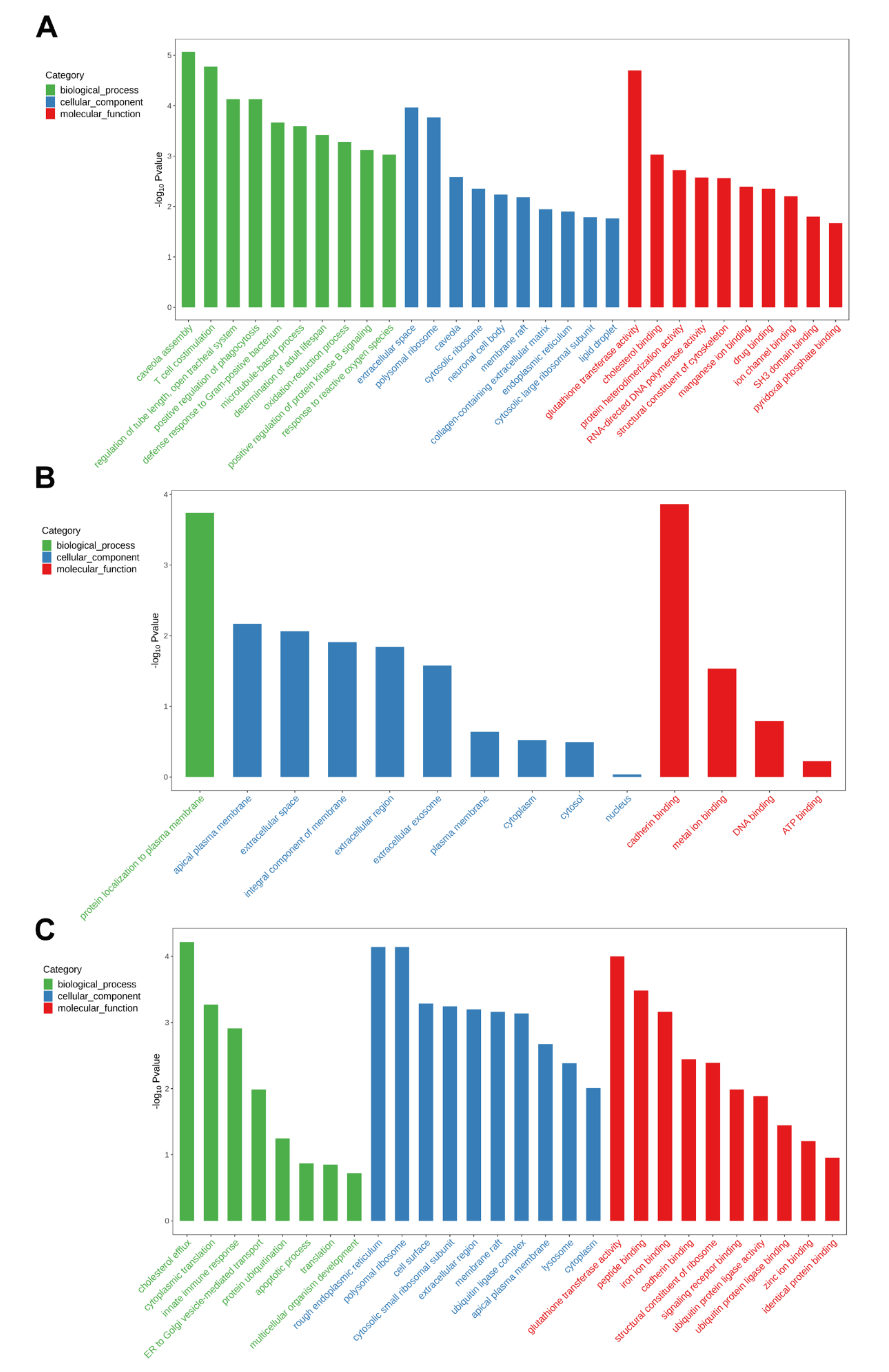 Ijms 23 04934 g006 550