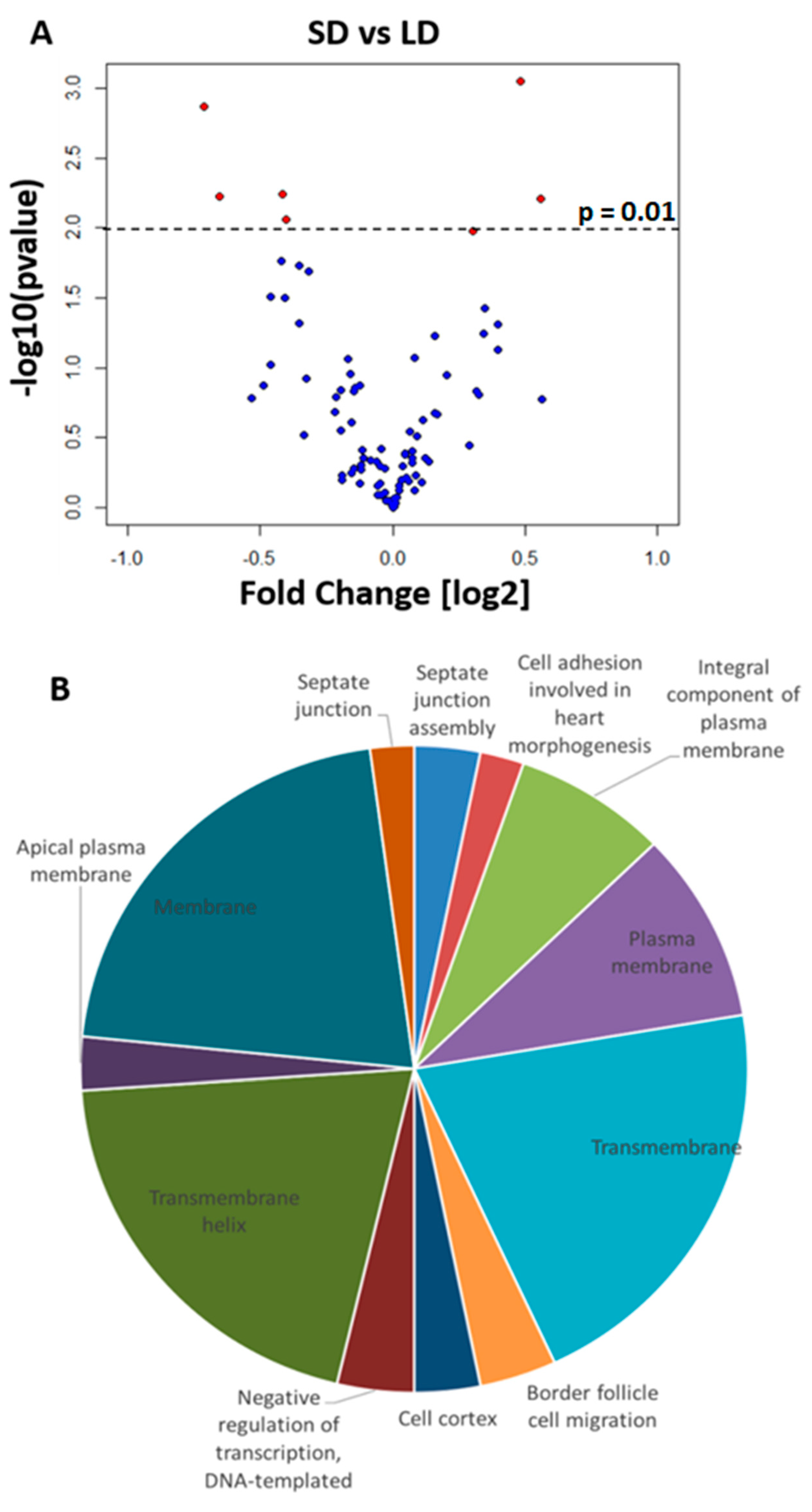 Ijms 23 04935 g002 Ijms 23 04935 g002