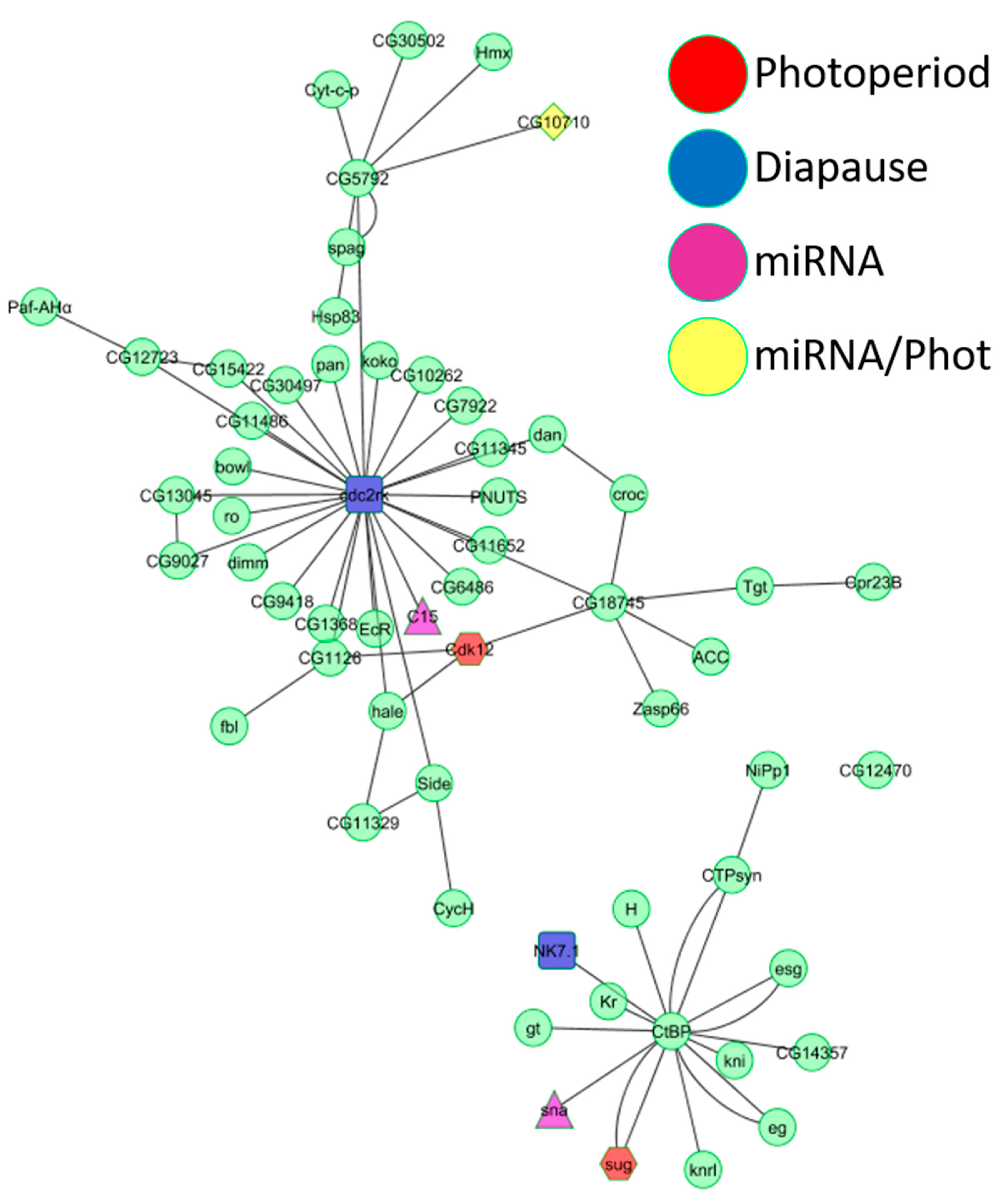 Ijms 23 04935 g003 Ijms 23 04935 g003