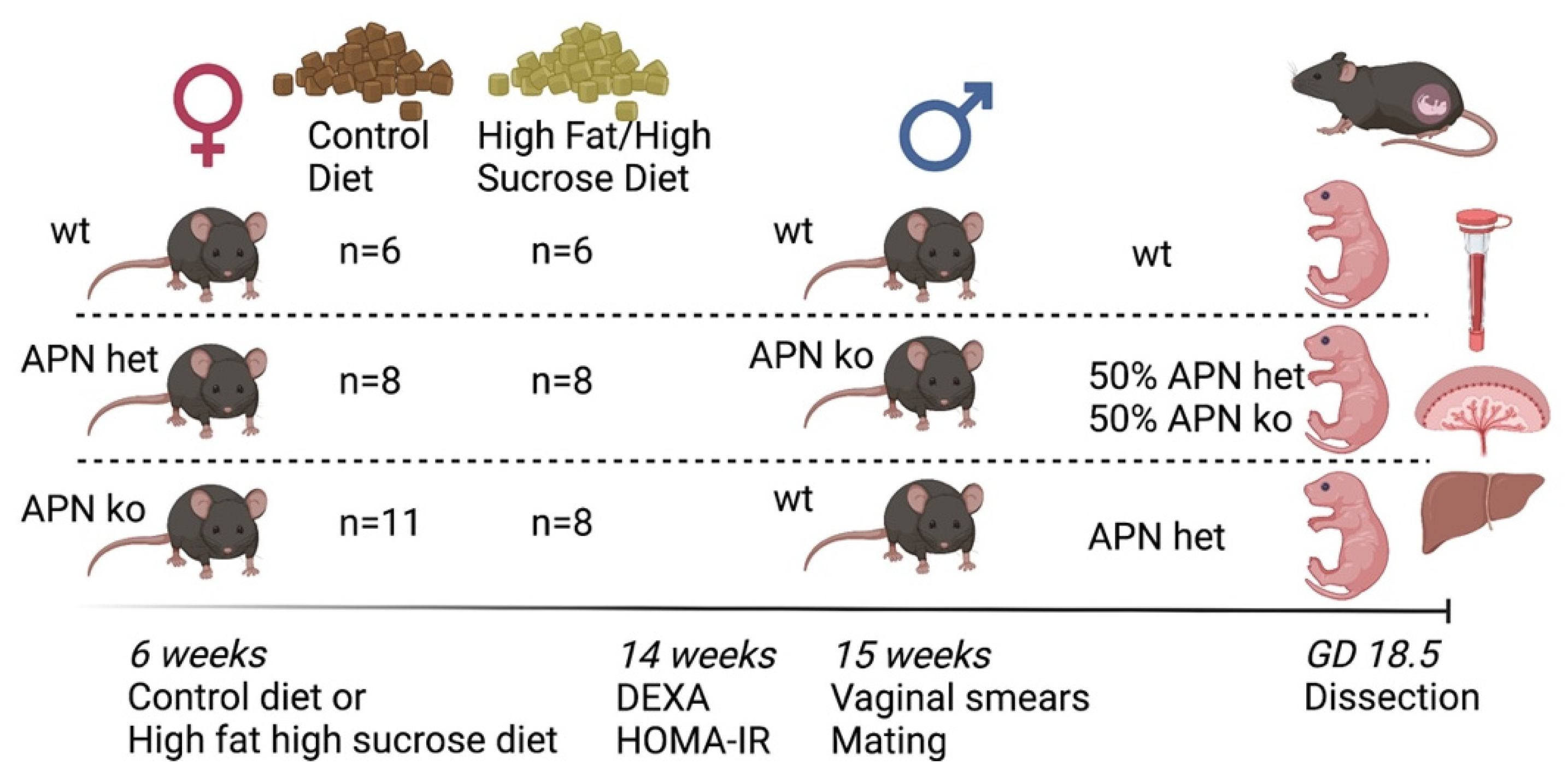 Ijms 23 04939 g001 550