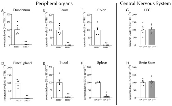 Ijms Free Full Text Peripheral Serotonin Deficiency Affects Anxiety Like Behavior And The Molecular Response To An Acute Challenge In Rats Html