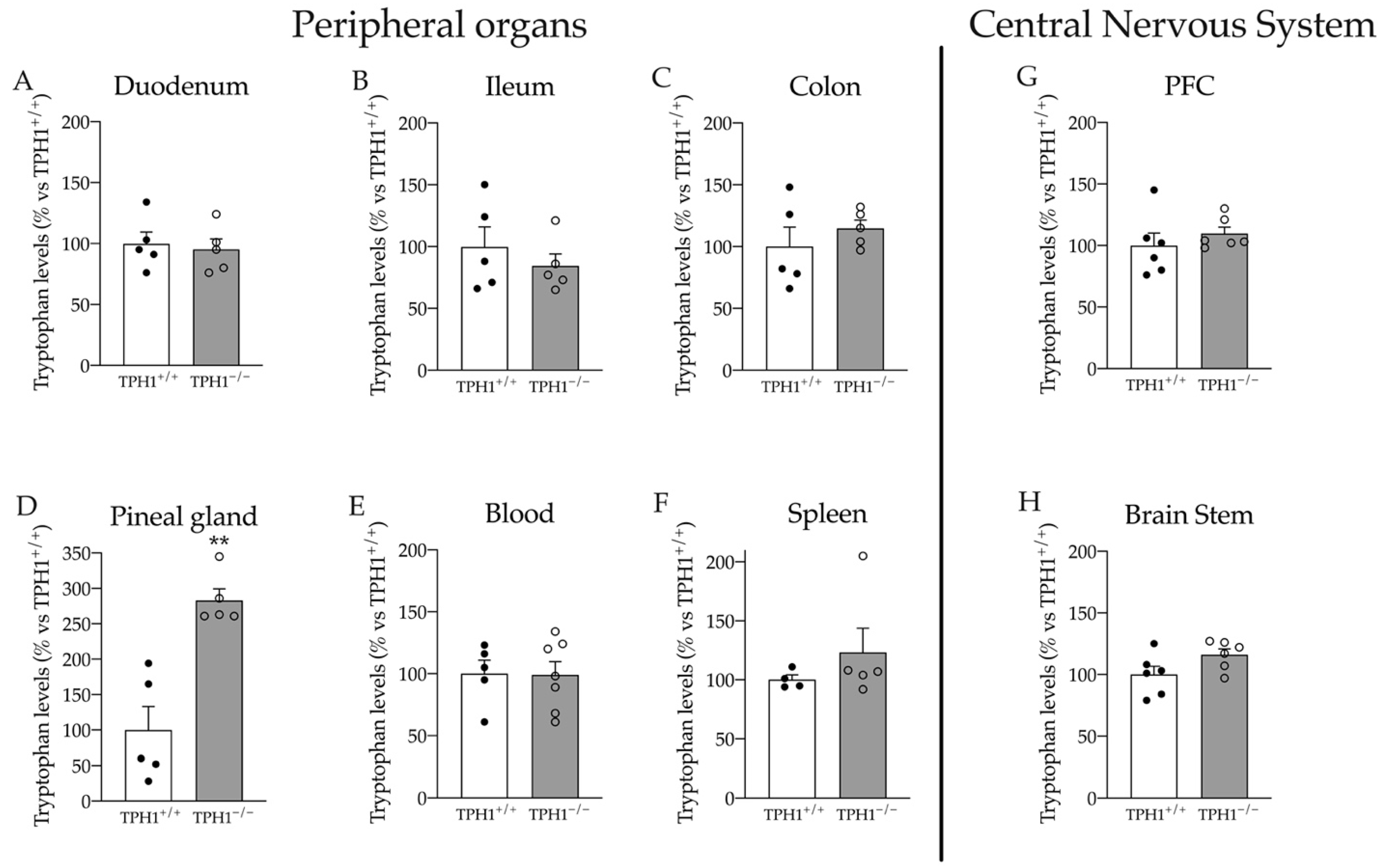 Ijms Free Full Text Peripheral Serotonin Deficiency Affects Anxiety Like Behavior And The Molecular Response To An Acute Challenge In Rats Html