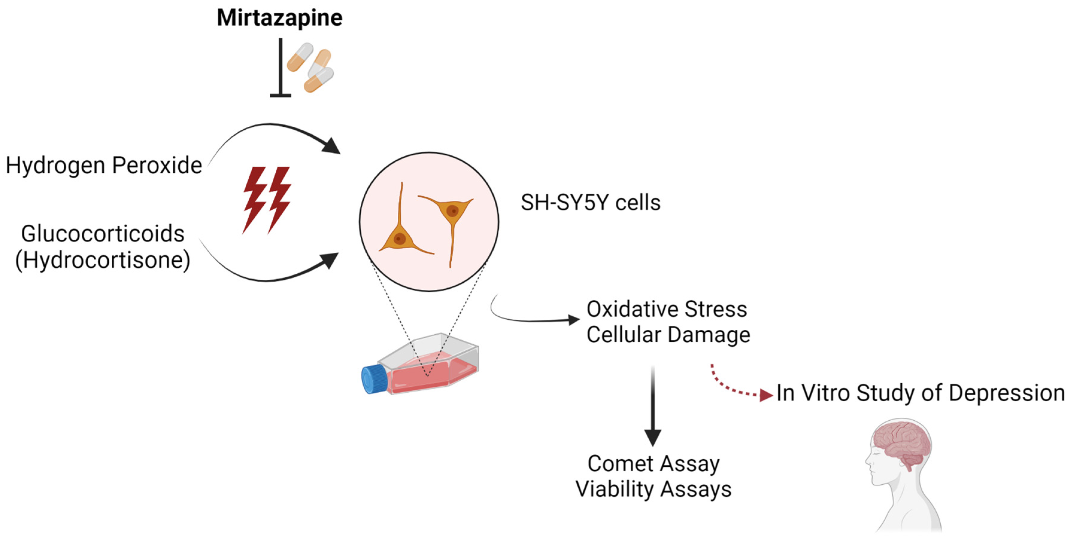 Ijms 23 04942 g001 550