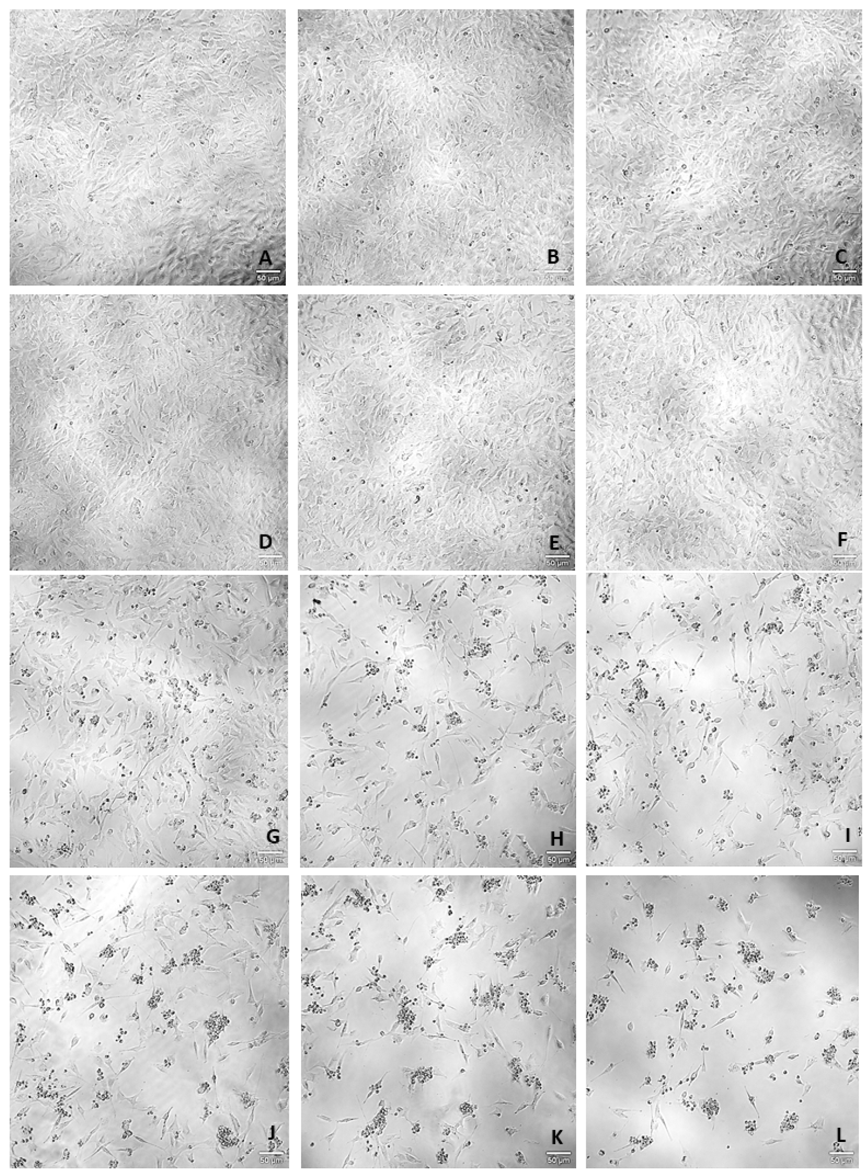 Ijms 23 04942 g002 550