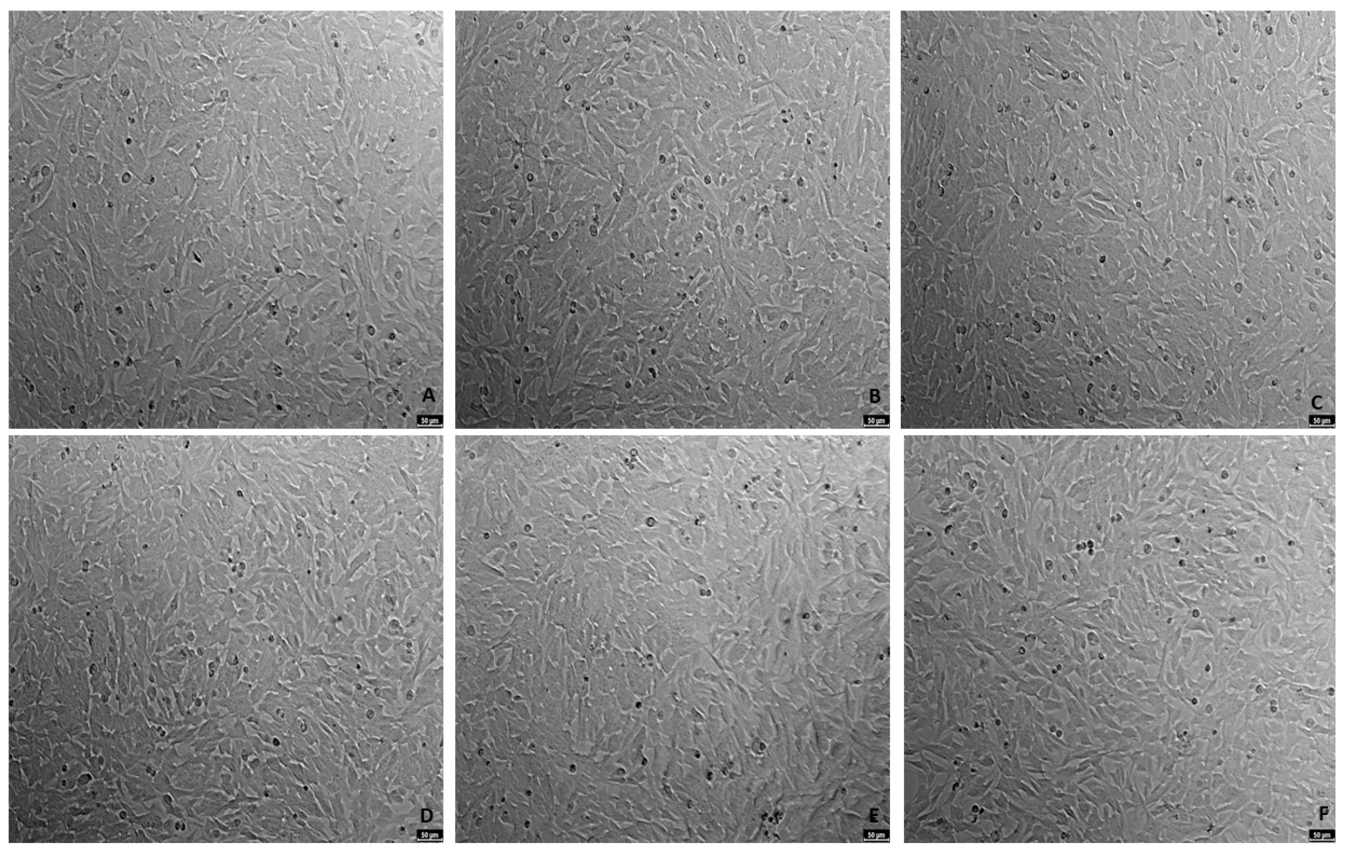 Ijms 23 04942 g004 550