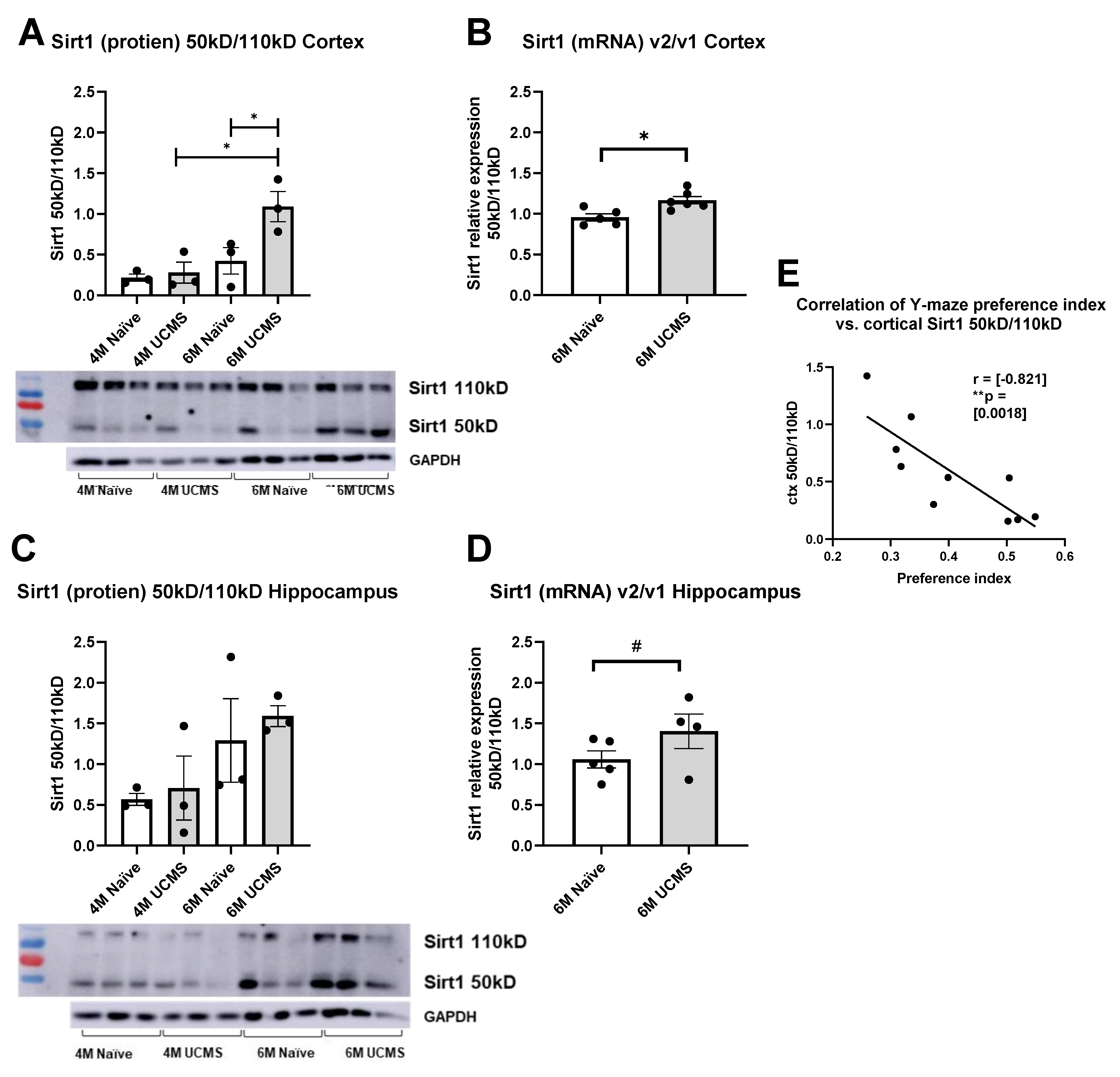 Ijms 23 04945 g004 550