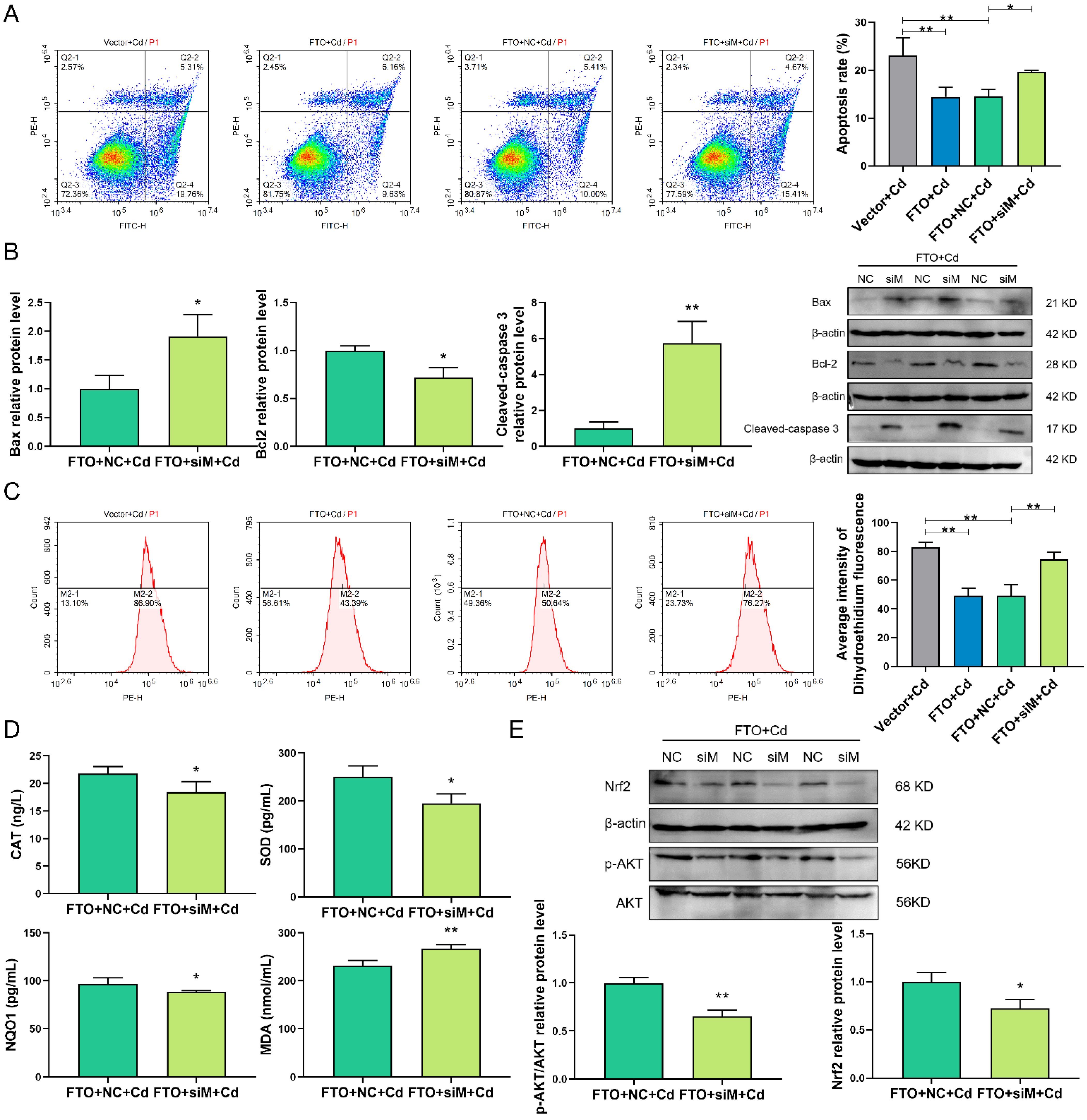 Ijms 23 04948 g008 550