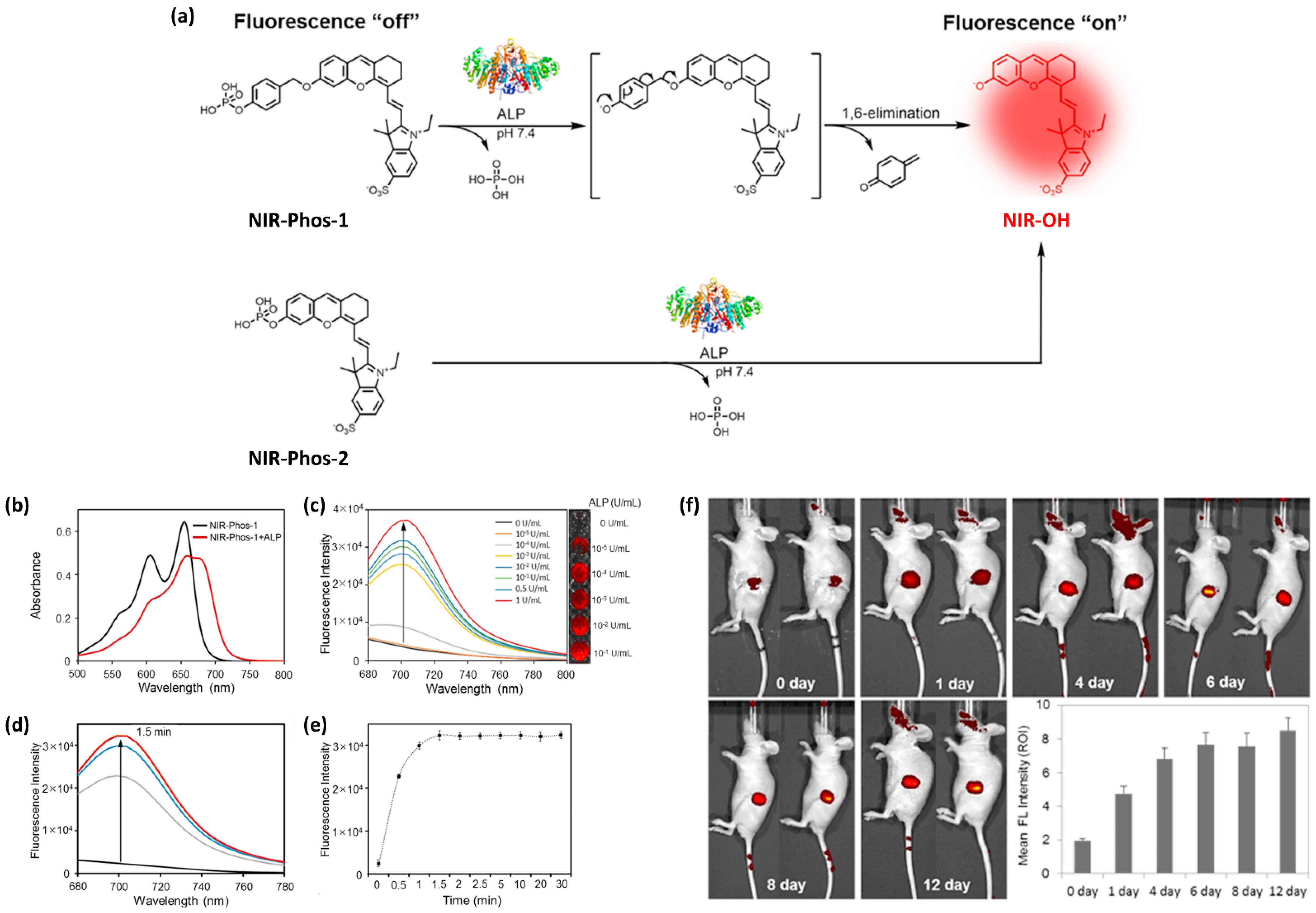Ijms 23 04949 g002 550