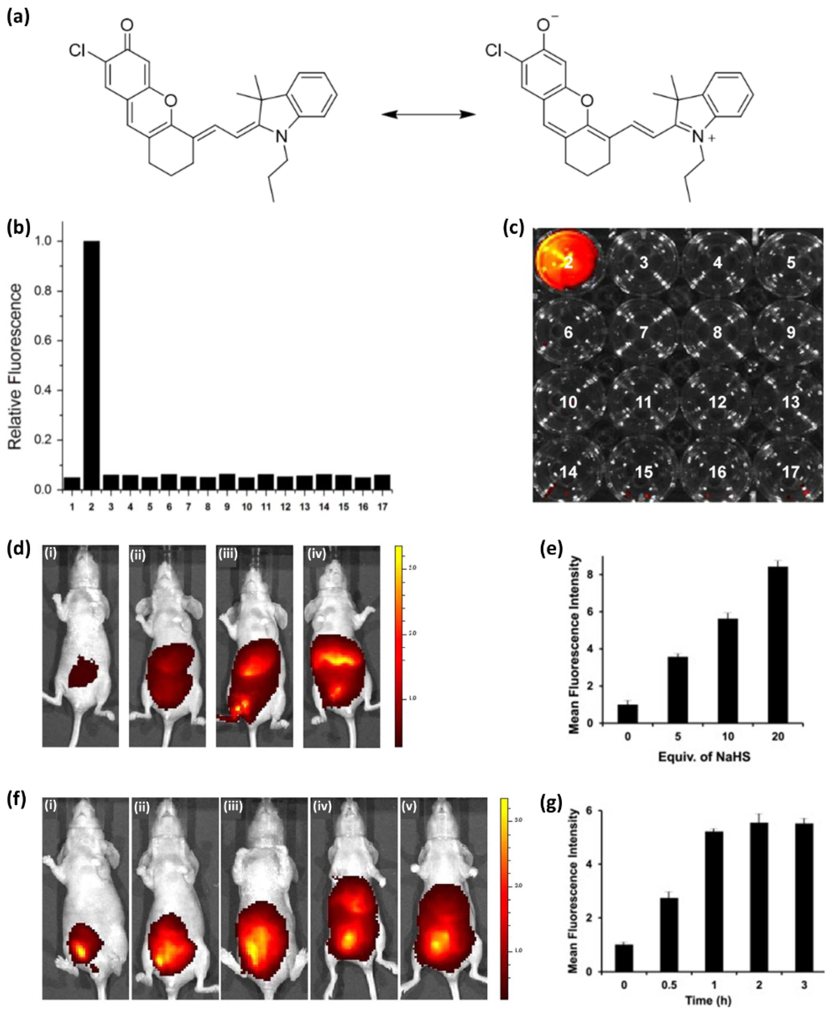 Ijms 23 04949 g004 550