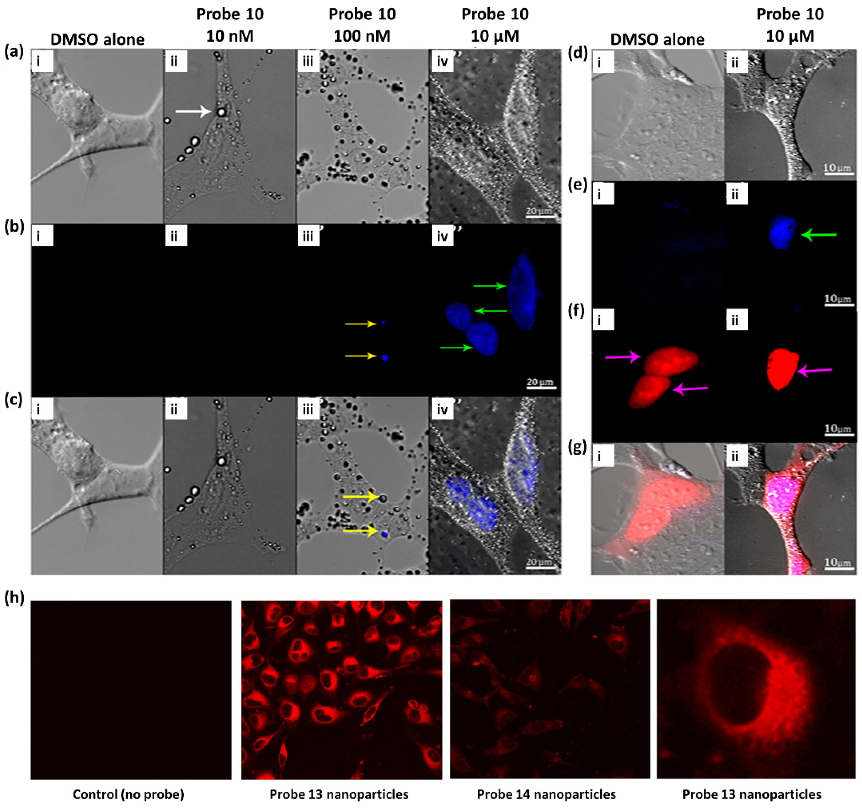 Ijms 23 04949 g007 550
