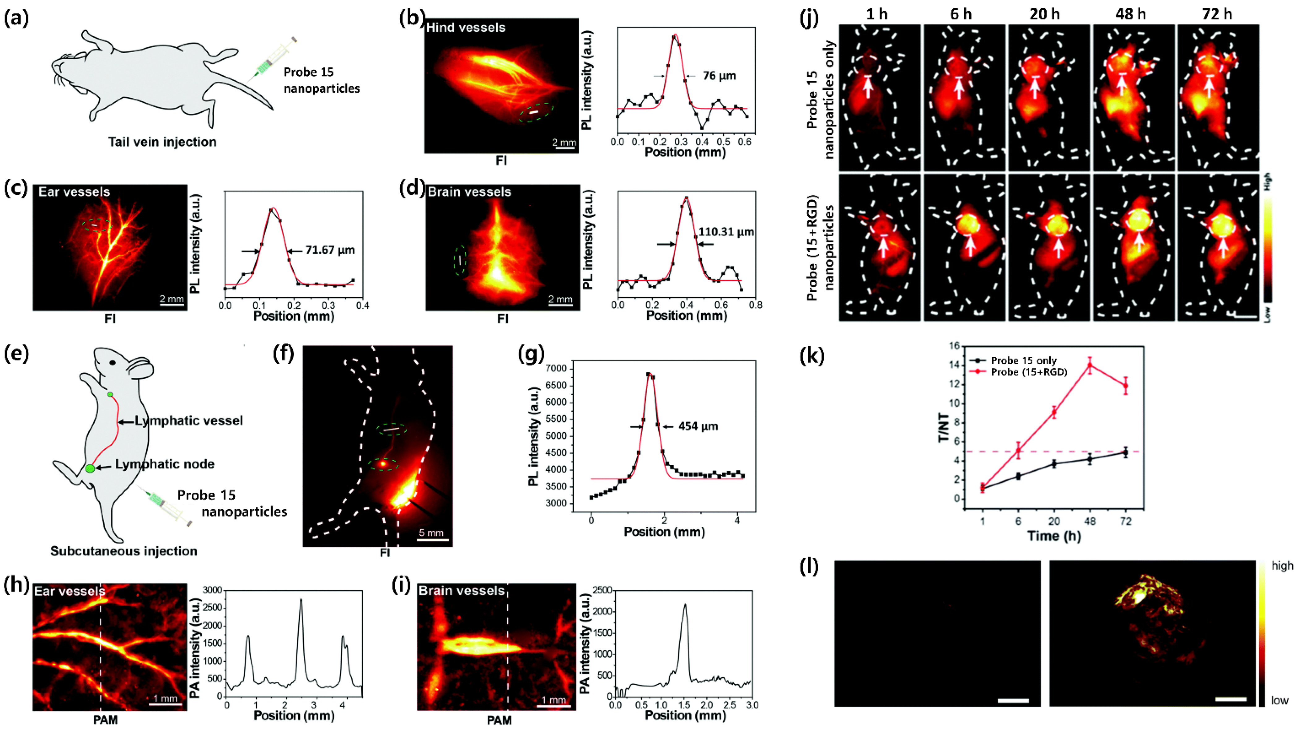 Ijms 23 04949 g011 550