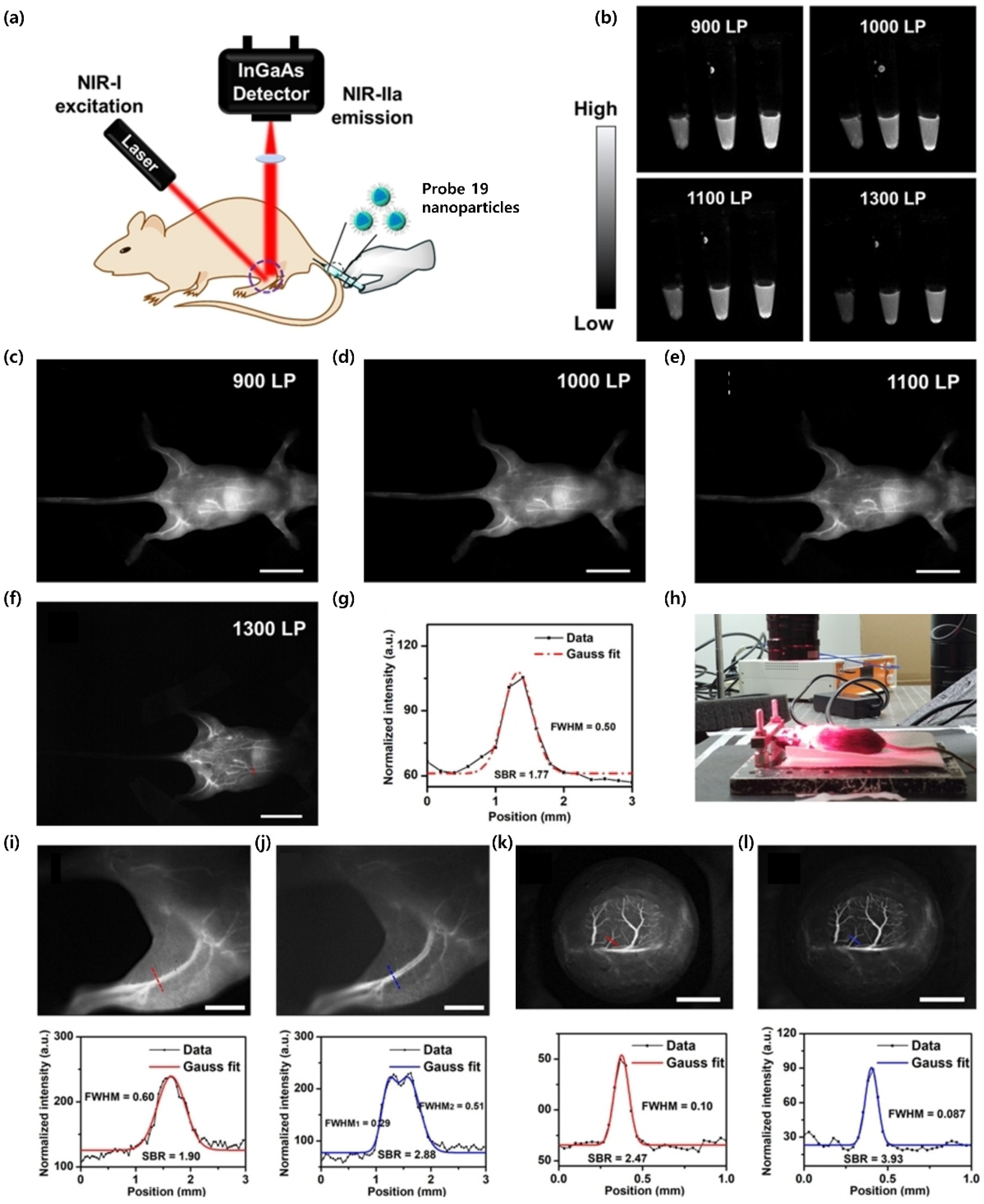 Ijms 23 04949 g012 550