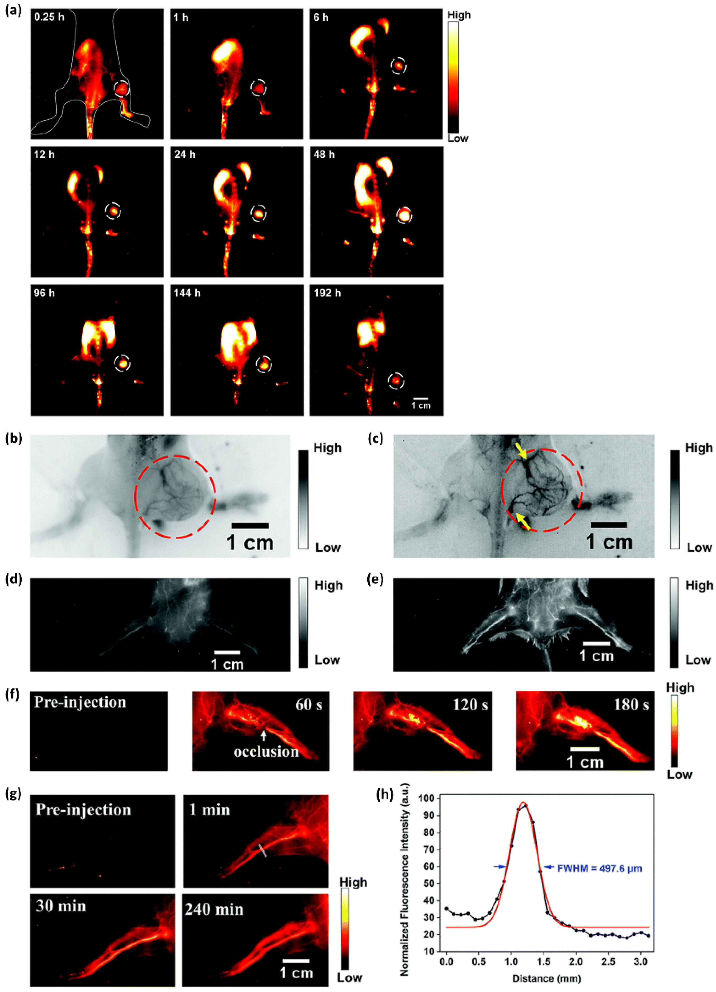 Ijms 23 04949 g013 550