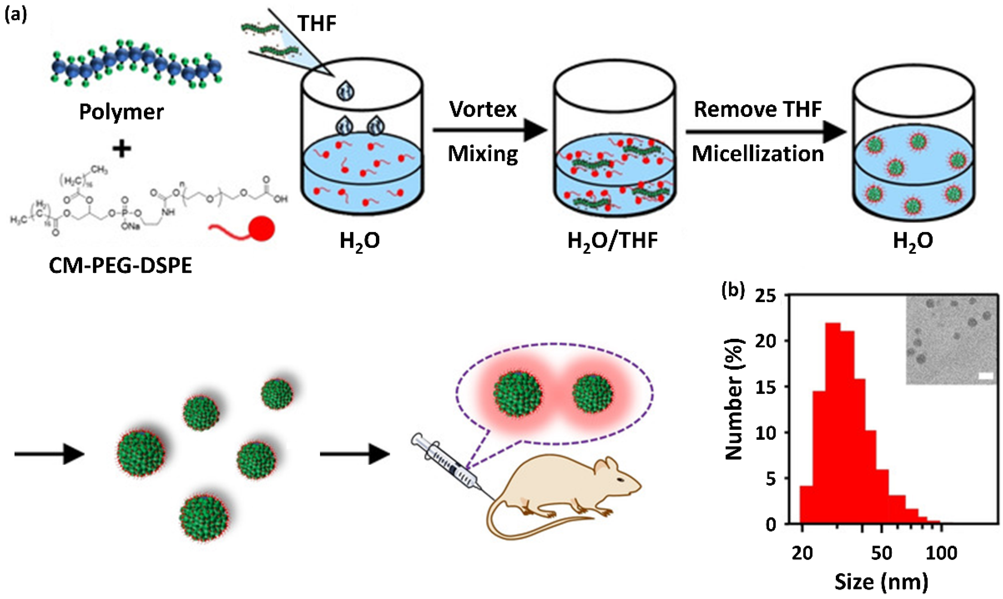 Ijms 23 04949 g018 550